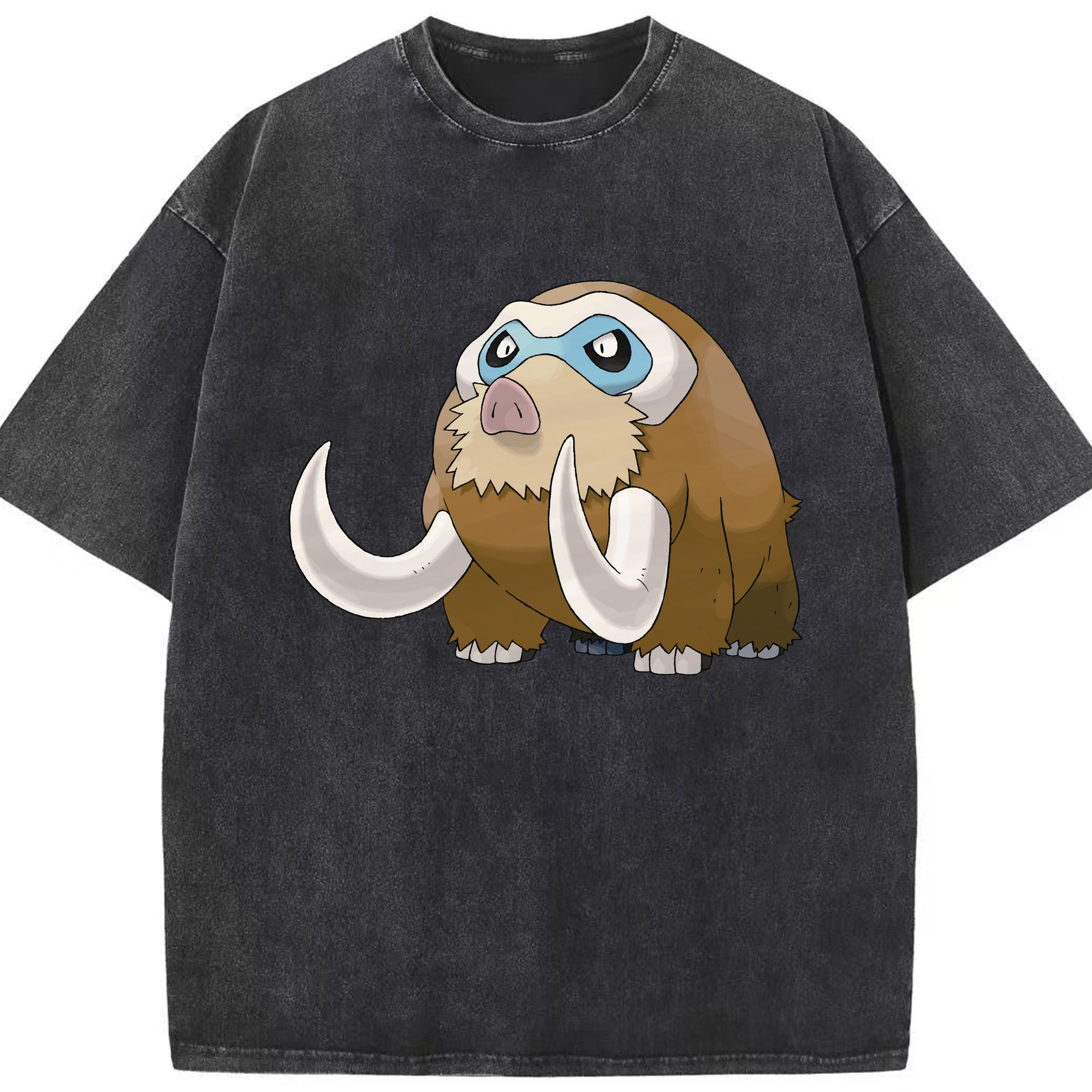 （画像用） ポケットモンスター Pokémon 綿100% ヴィンテージ風 半袖Tシャツ（フロントプリント）