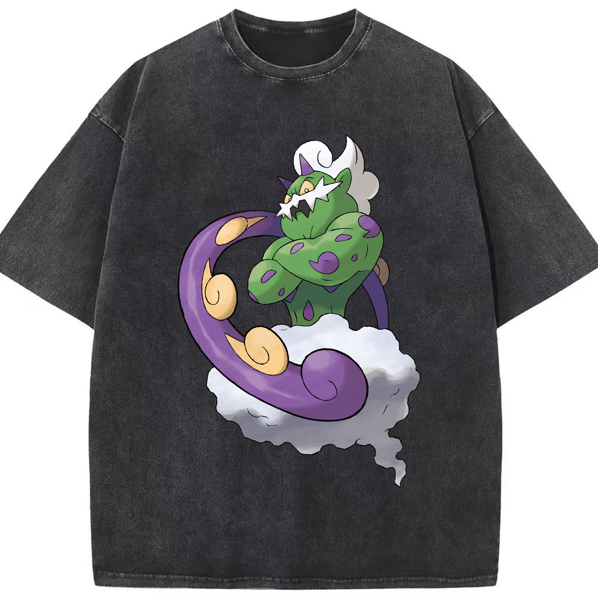 （画像用） ポケットモンスター Pokémon 綿100% ヴィンテージ風 半袖Tシャツ（フロントプリント）