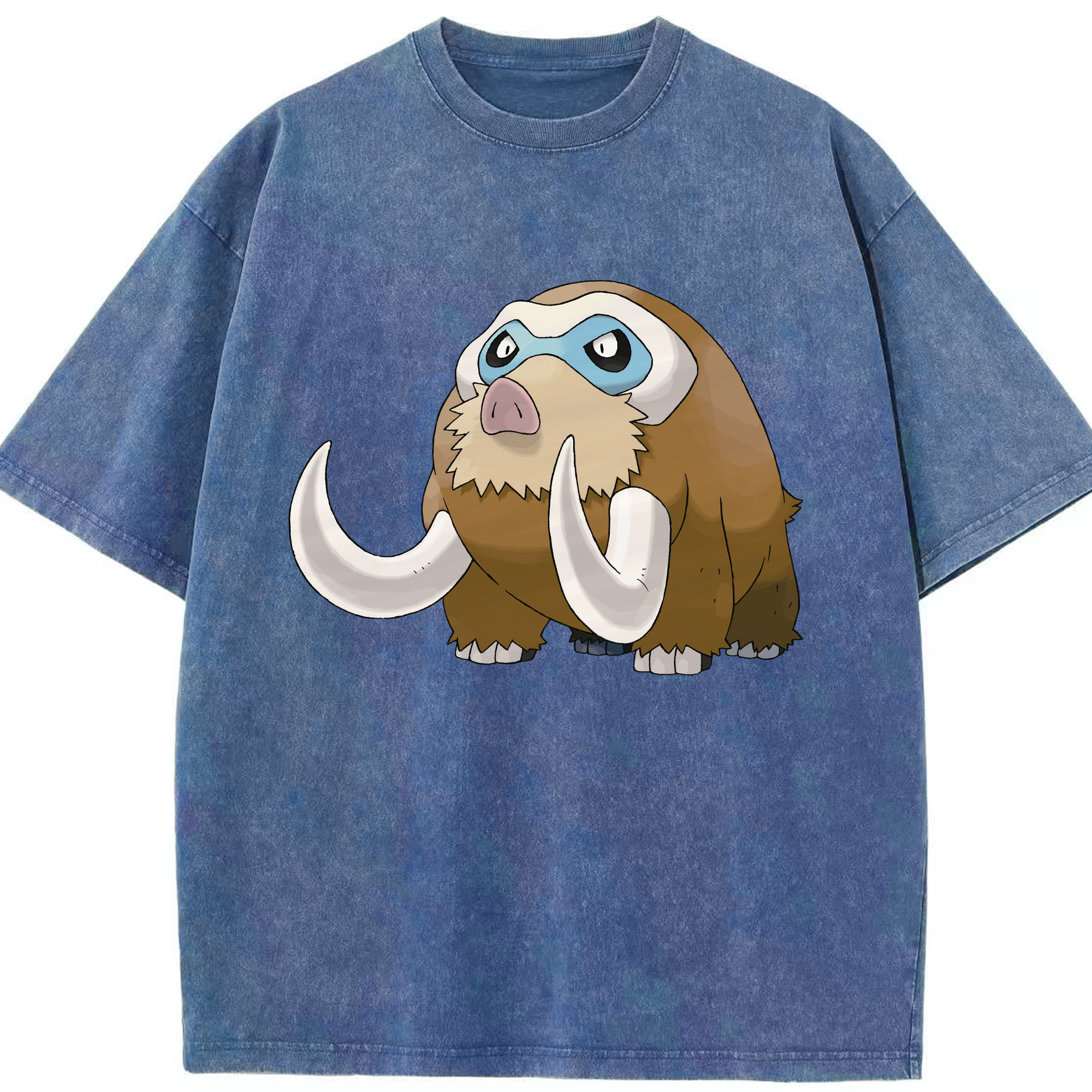 （画像用） ポケットモンスター Pokémon 綿100% ヴィンテージ風 半袖Tシャツ（フロントプリント）