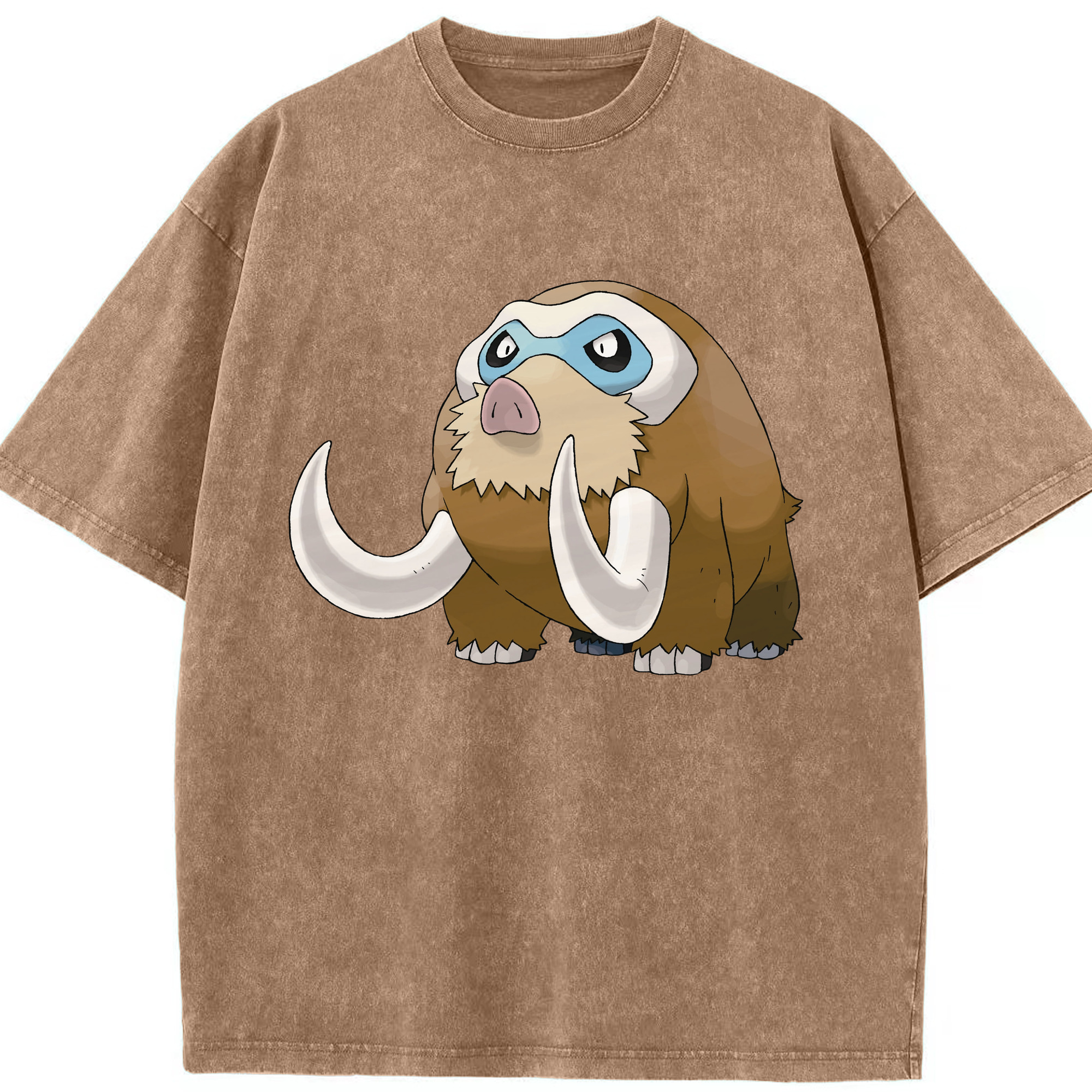 （画像用） ポケットモンスター Pokémon 綿100% ヴィンテージ風 半袖Tシャツ（フロントプリント）