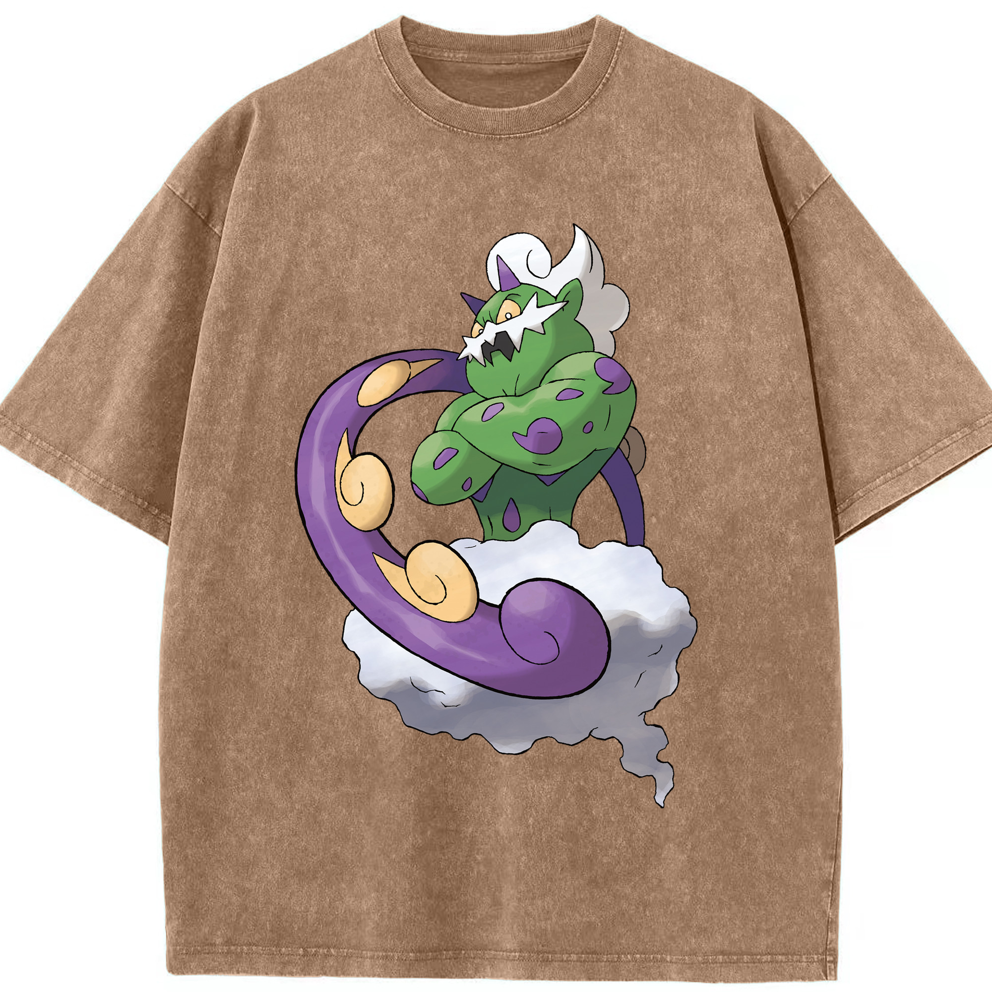 （画像用） ポケットモンスター Pokémon 綿100% ヴィンテージ風 半袖Tシャツ（フロントプリント）