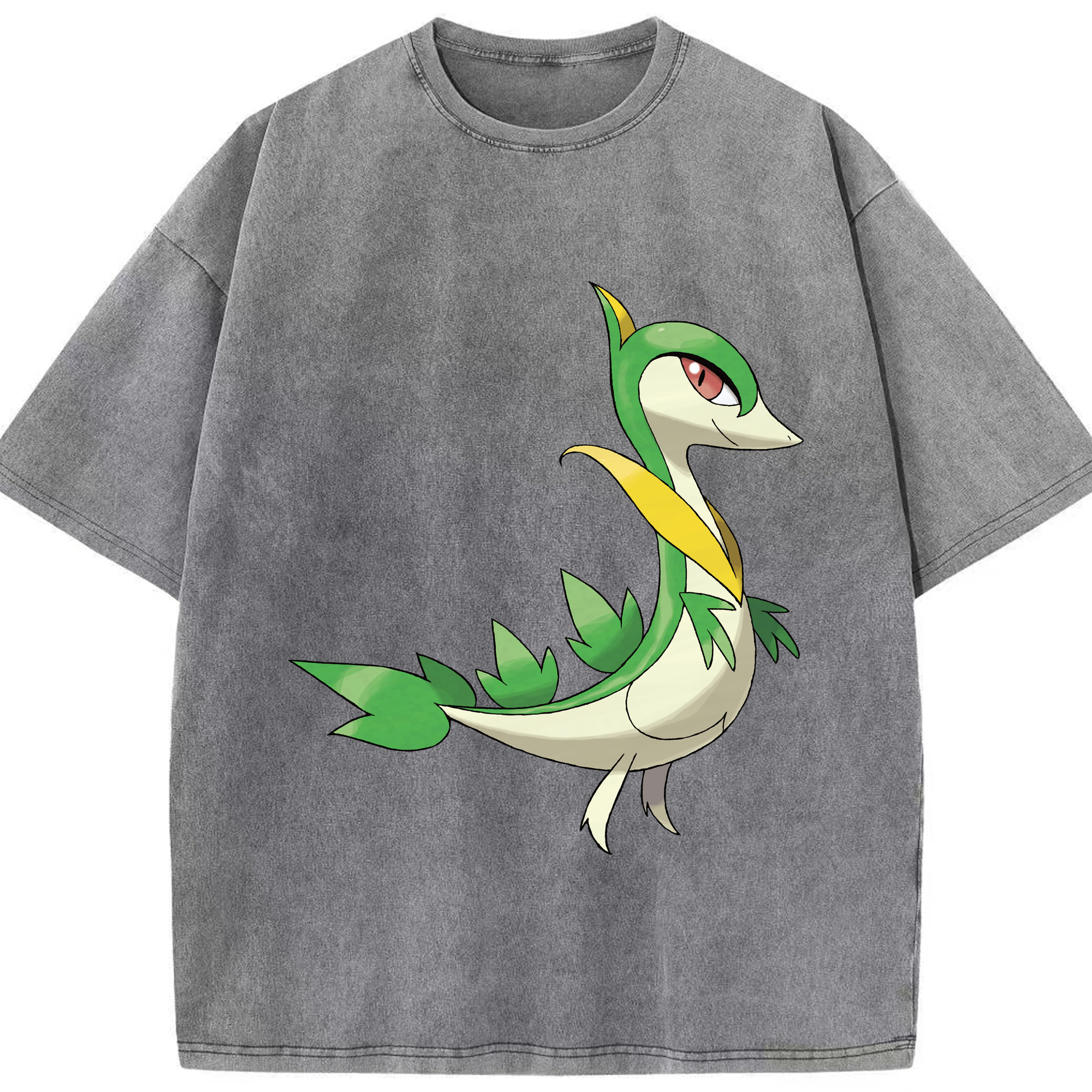 （画像用） ポケットモンスター Pokémon 綿100% ヴィンテージ風 半袖Tシャツ（フロントプリント）