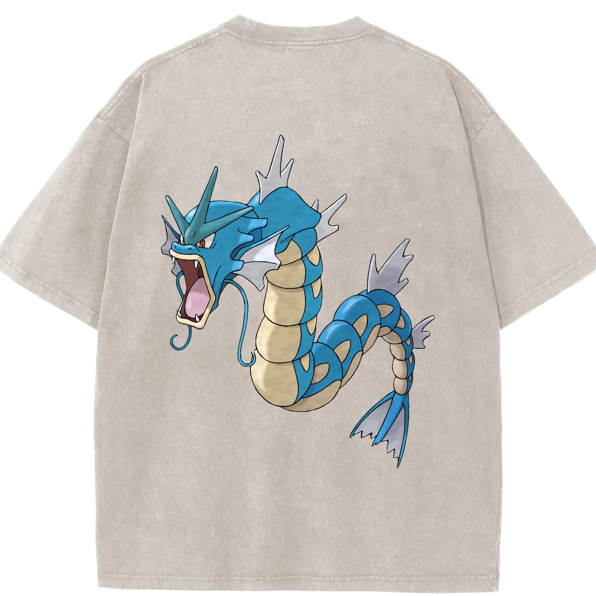 （画像用） ポケットモンスター Pokémon 綿100% ヴィンテージ風 半袖Tシャツ（背面プリント）