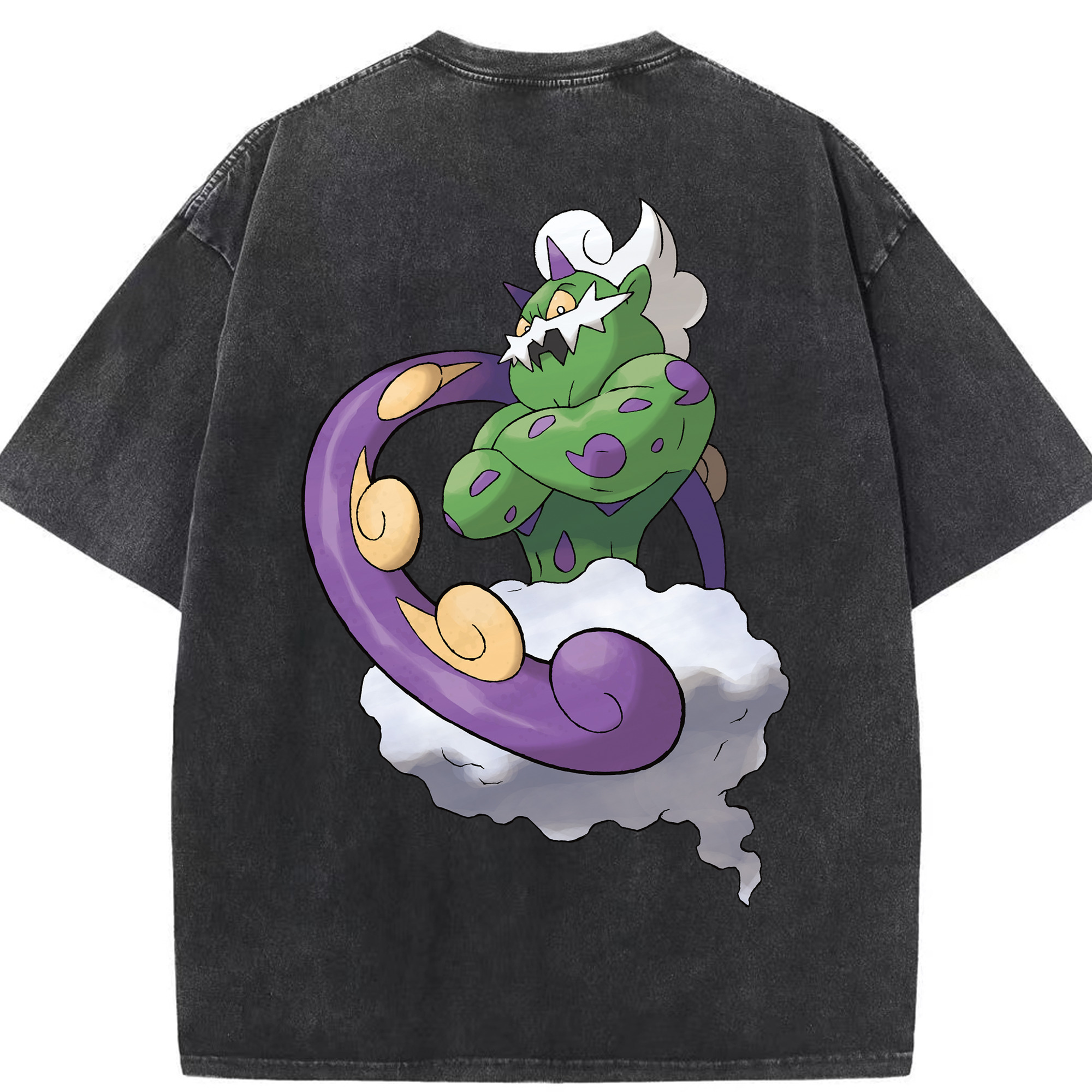 （画像用） ポケットモンスター Pokémon 綿100% ヴィンテージ風 半袖Tシャツ（背面プリント）