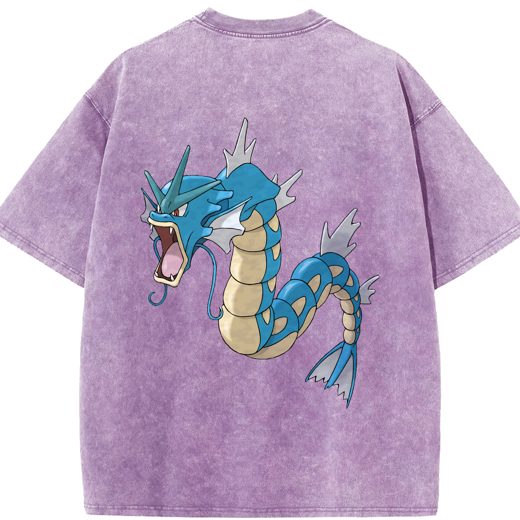 （画像用） ポケットモンスター Pokémon 綿100% ヴィンテージ風 半袖Tシャツ（背面プリント）
