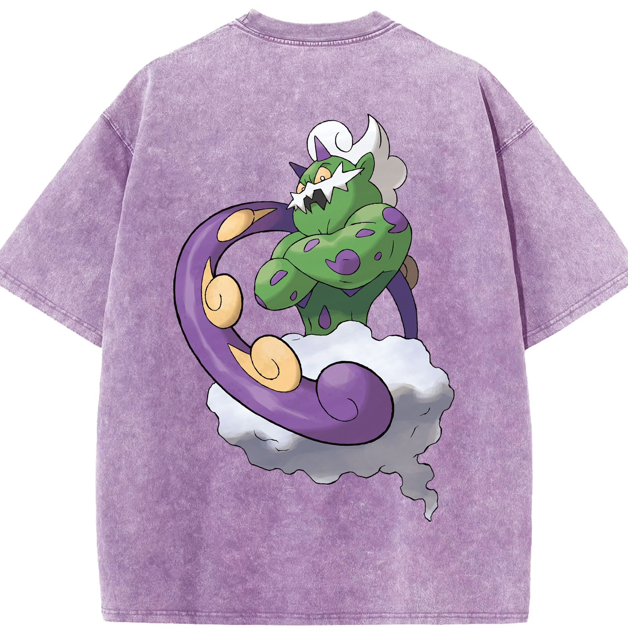（画像用） ポケットモンスター Pokémon 綿100% ヴィンテージ風 半袖Tシャツ（背面プリント）