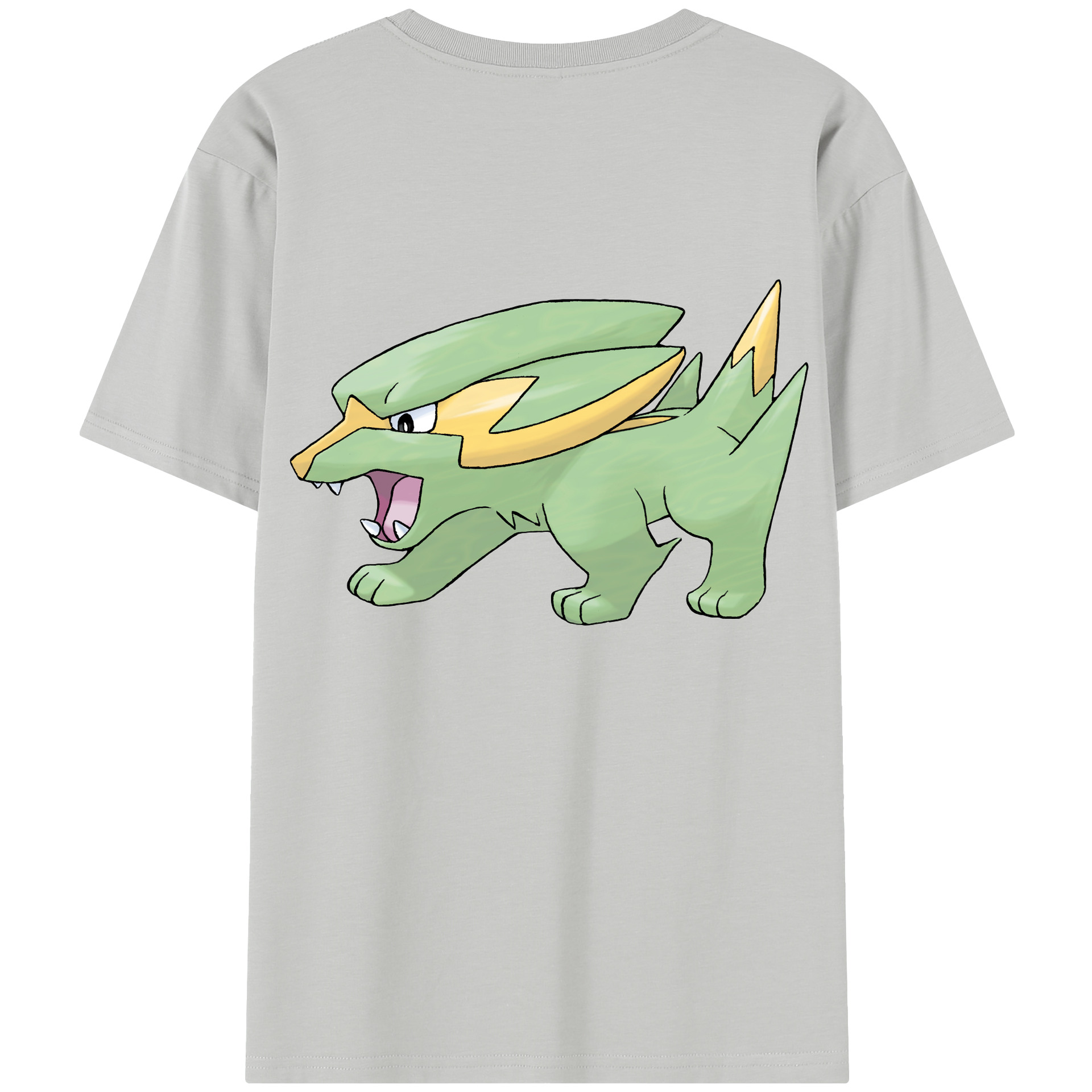 （画像用） ポケットモンスター Pokémon レディース半袖Tシャツ(バックプリント)