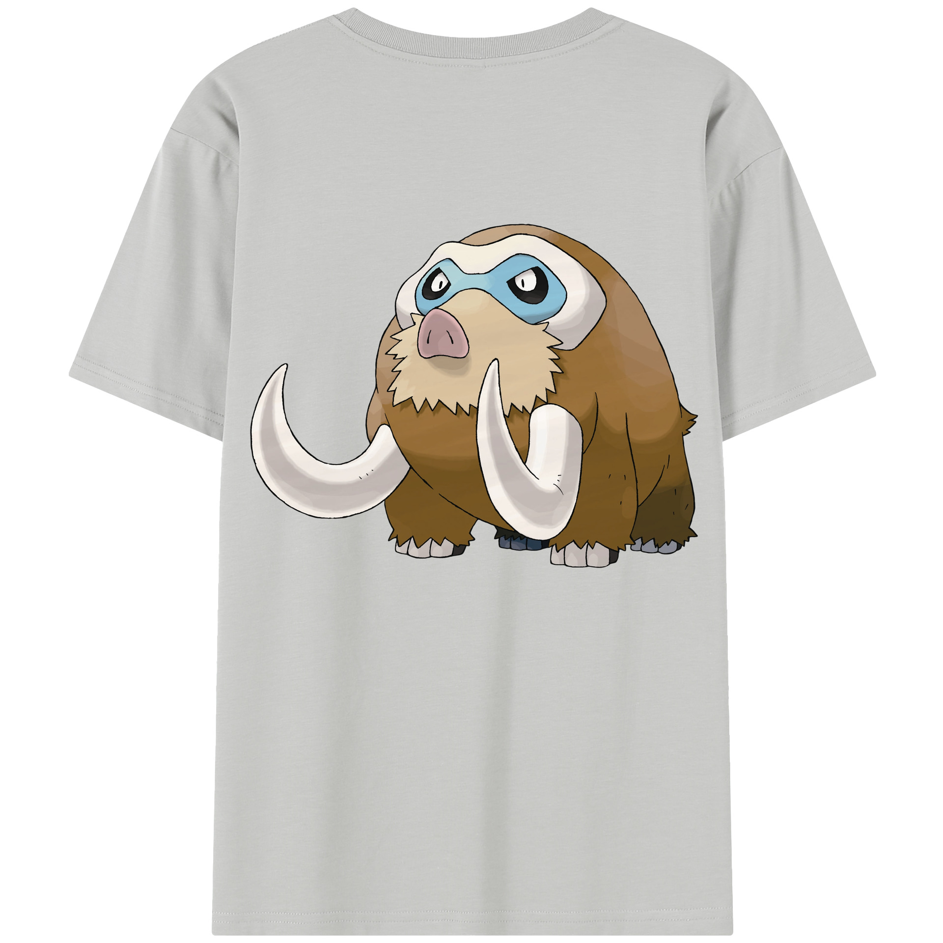 （画像用） ポケットモンスター Pokémon レディース半袖Tシャツ(バックプリント)