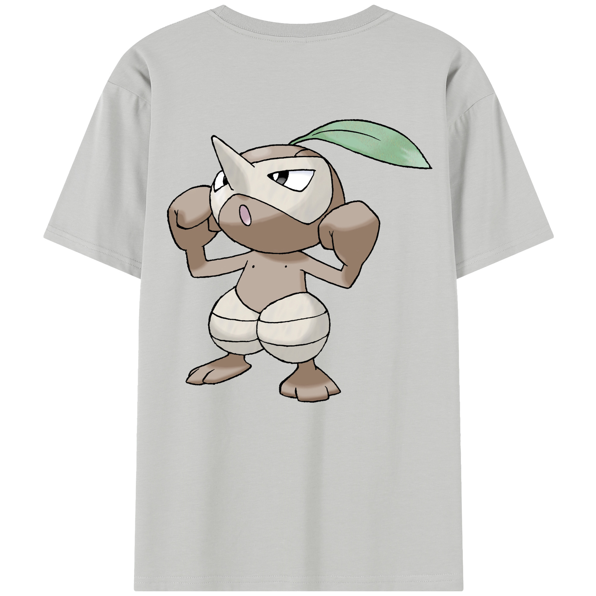 （画像用） ポケットモンスター Pokémon レディース半袖Tシャツ(バックプリント)
