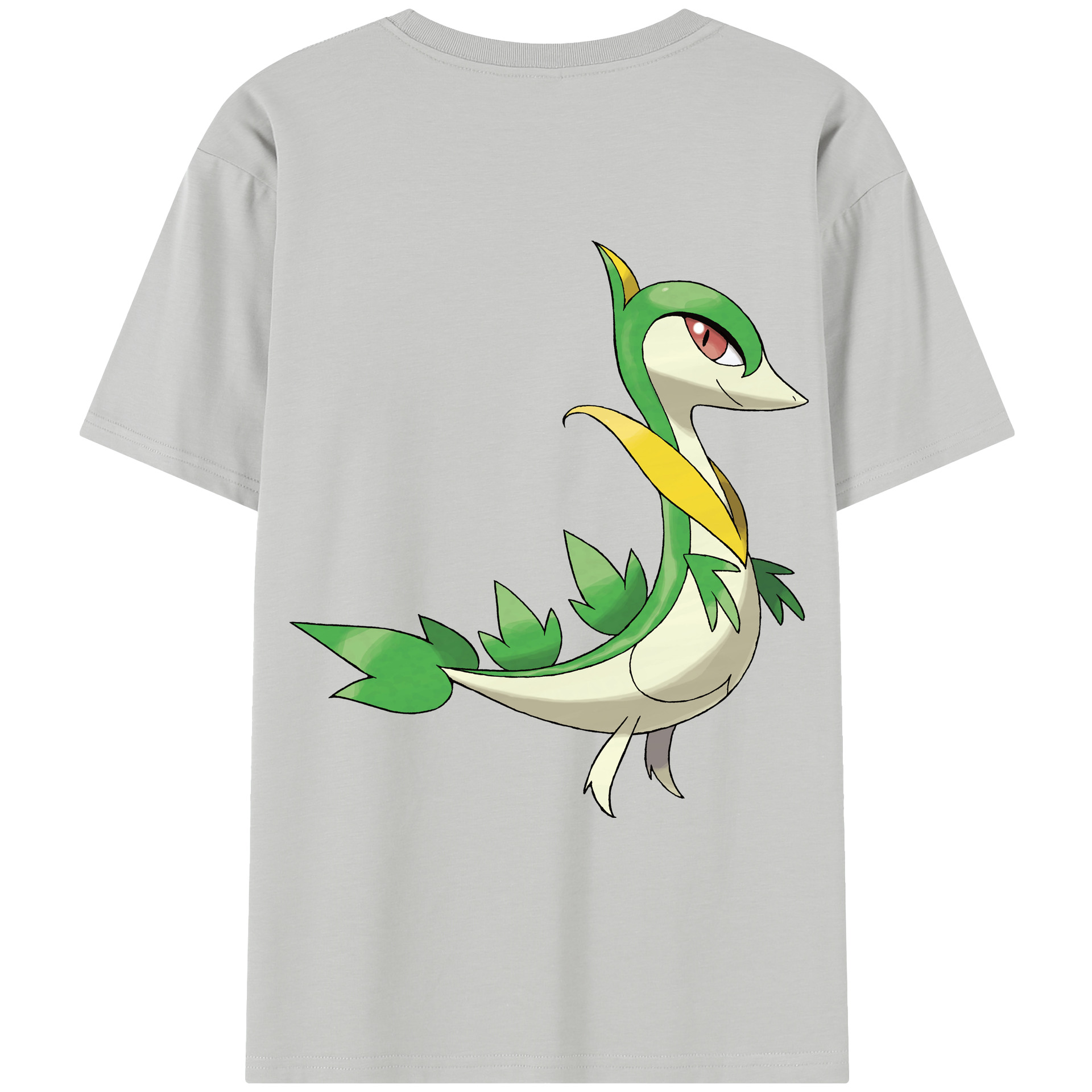 （画像用） ポケットモンスター Pokémon レディース半袖Tシャツ(バックプリント)