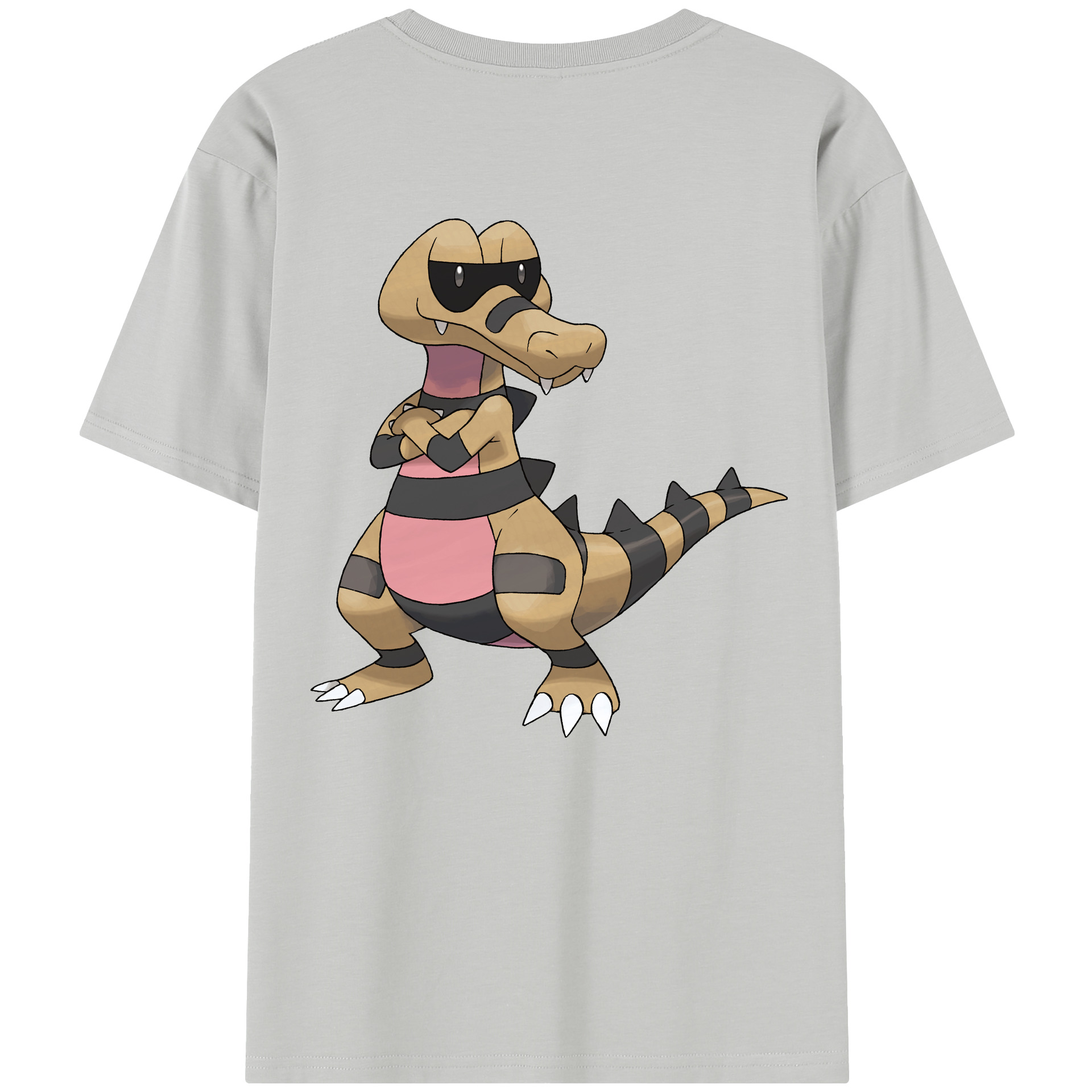 （画像用） ポケットモンスター Pokémon レディース半袖Tシャツ(バックプリント)