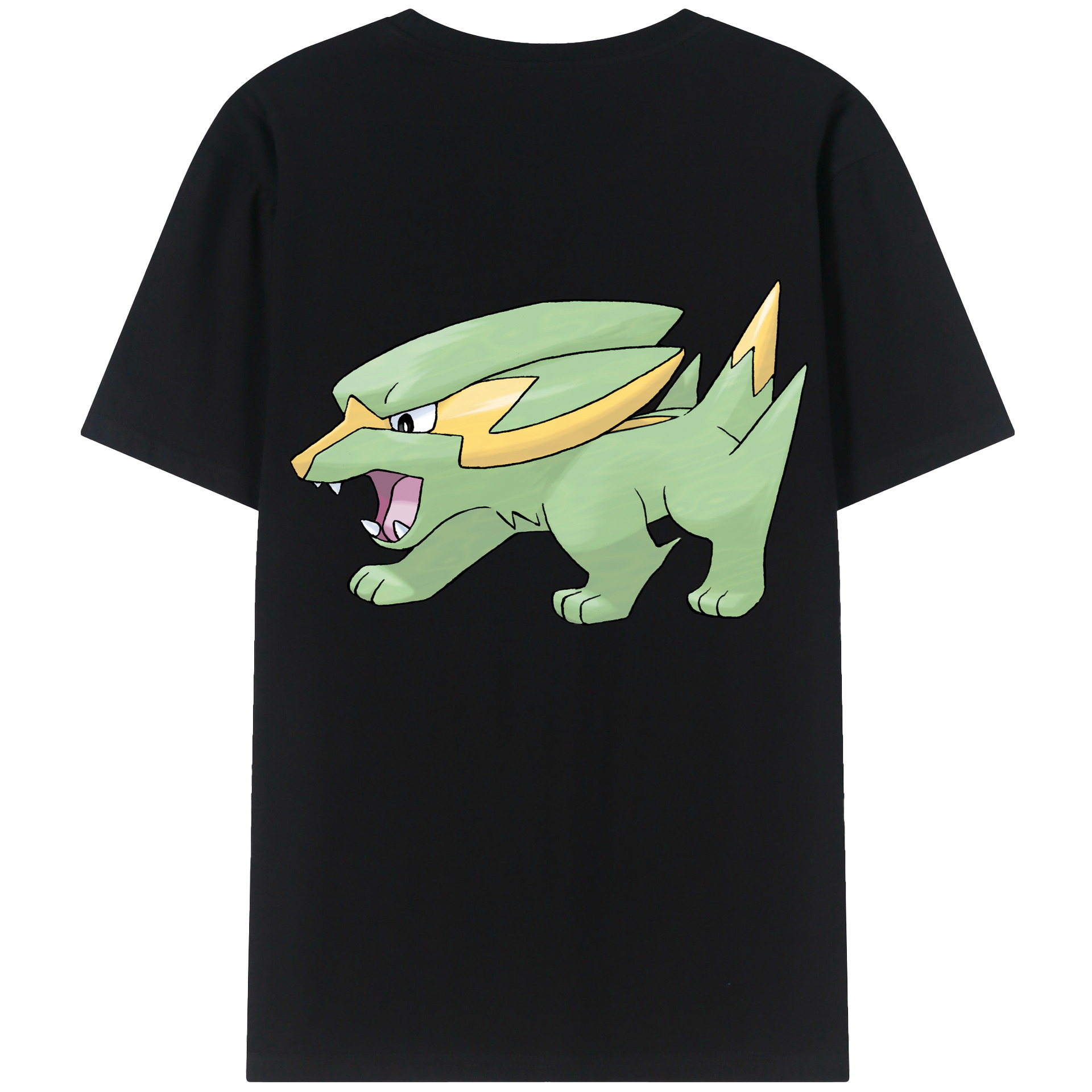 （画像用） ポケットモンスター Pokémon レディース半袖Tシャツ(バックプリント)