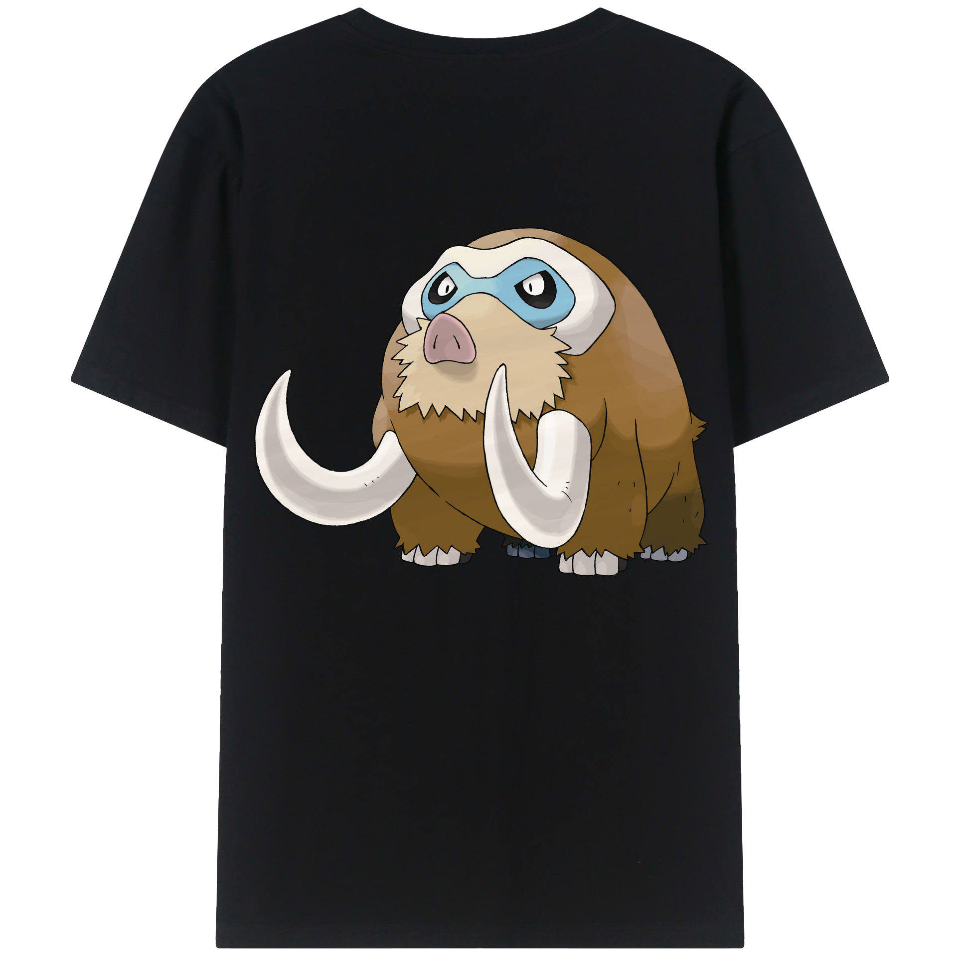 （画像用） ポケットモンスター Pokémon レディース半袖Tシャツ(バックプリント)