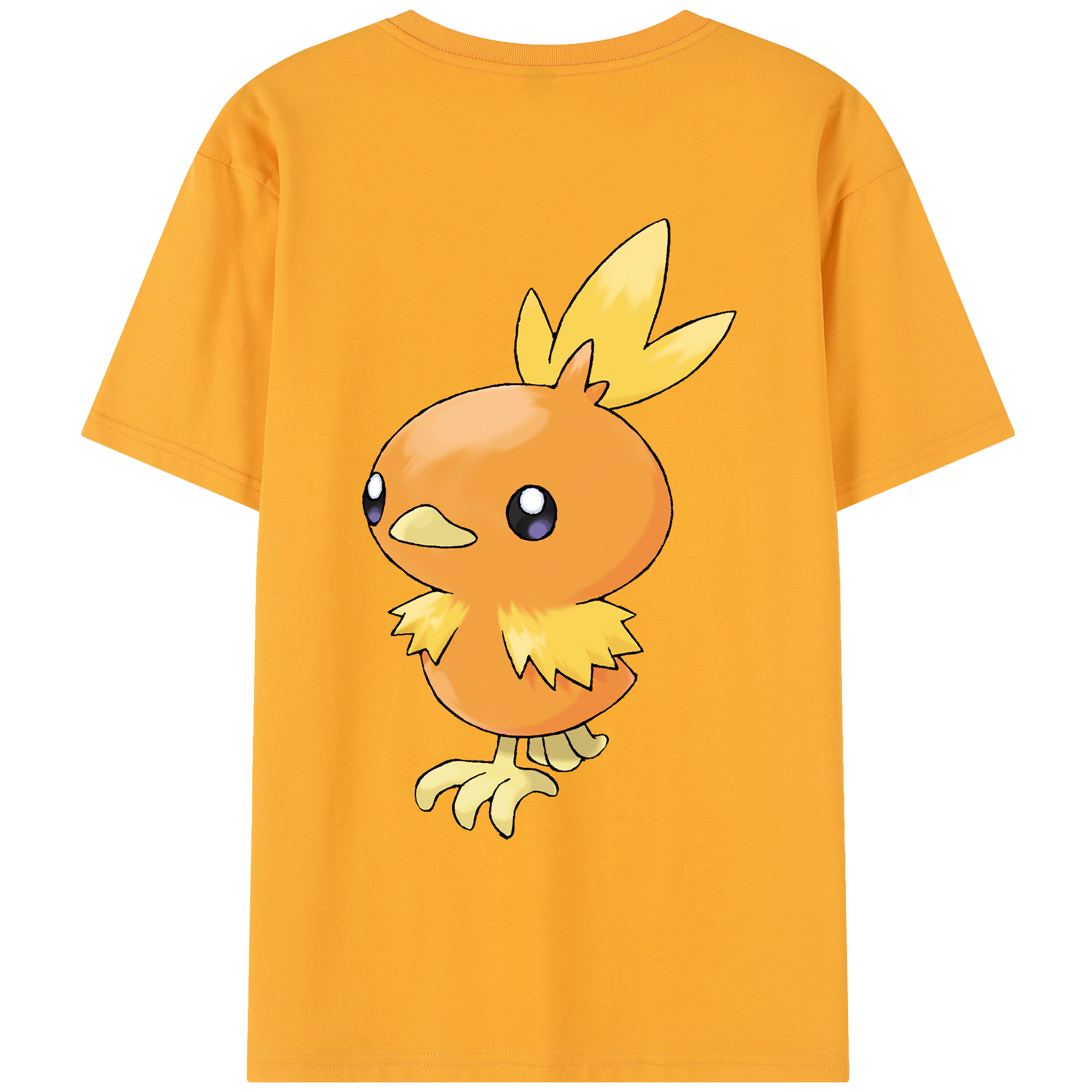 （画像用） ポケットモンスター Pokémon レディース半袖Tシャツ(バックプリント)