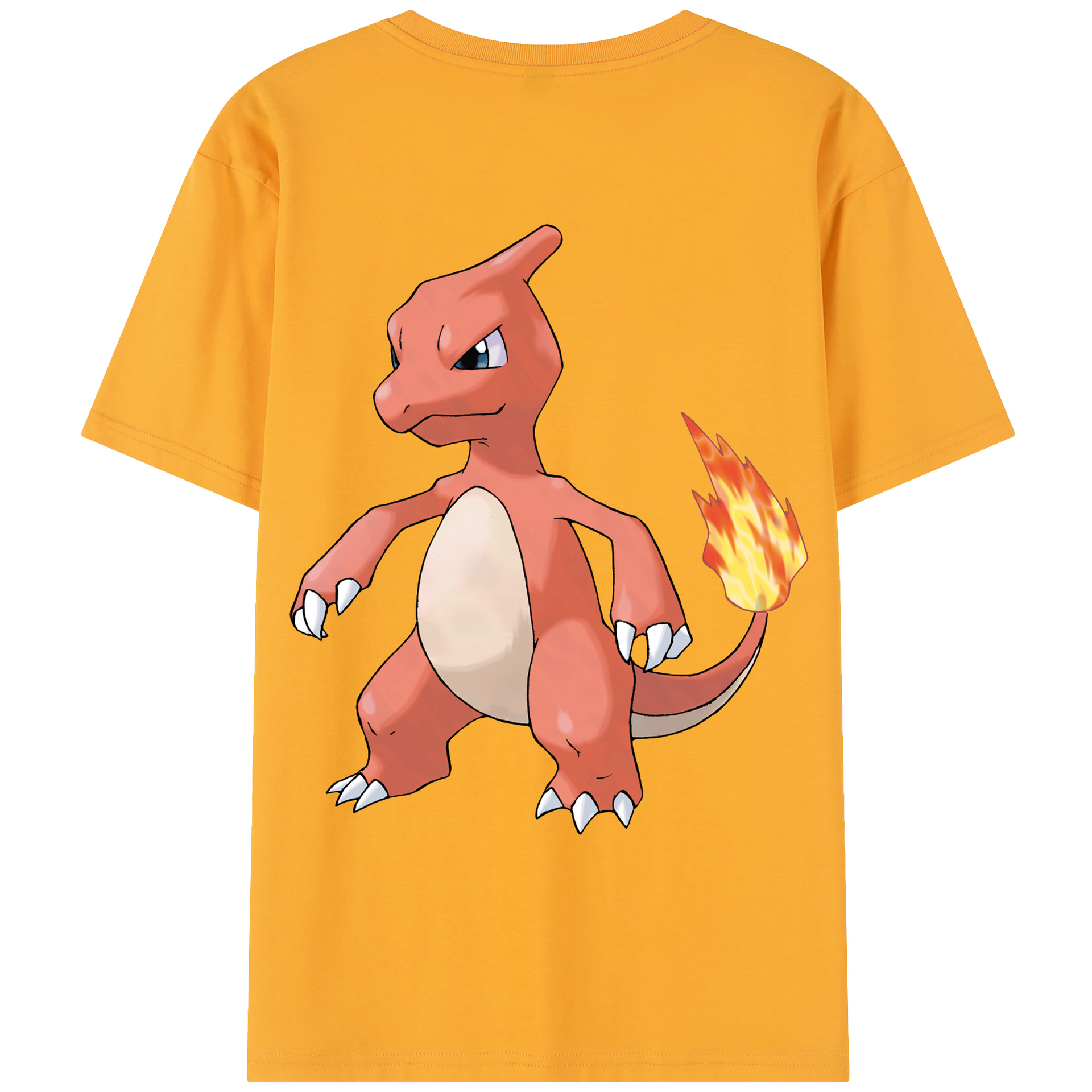 （画像用） ポケットモンスター Pokémon レディース半袖Tシャツ(バックプリント)