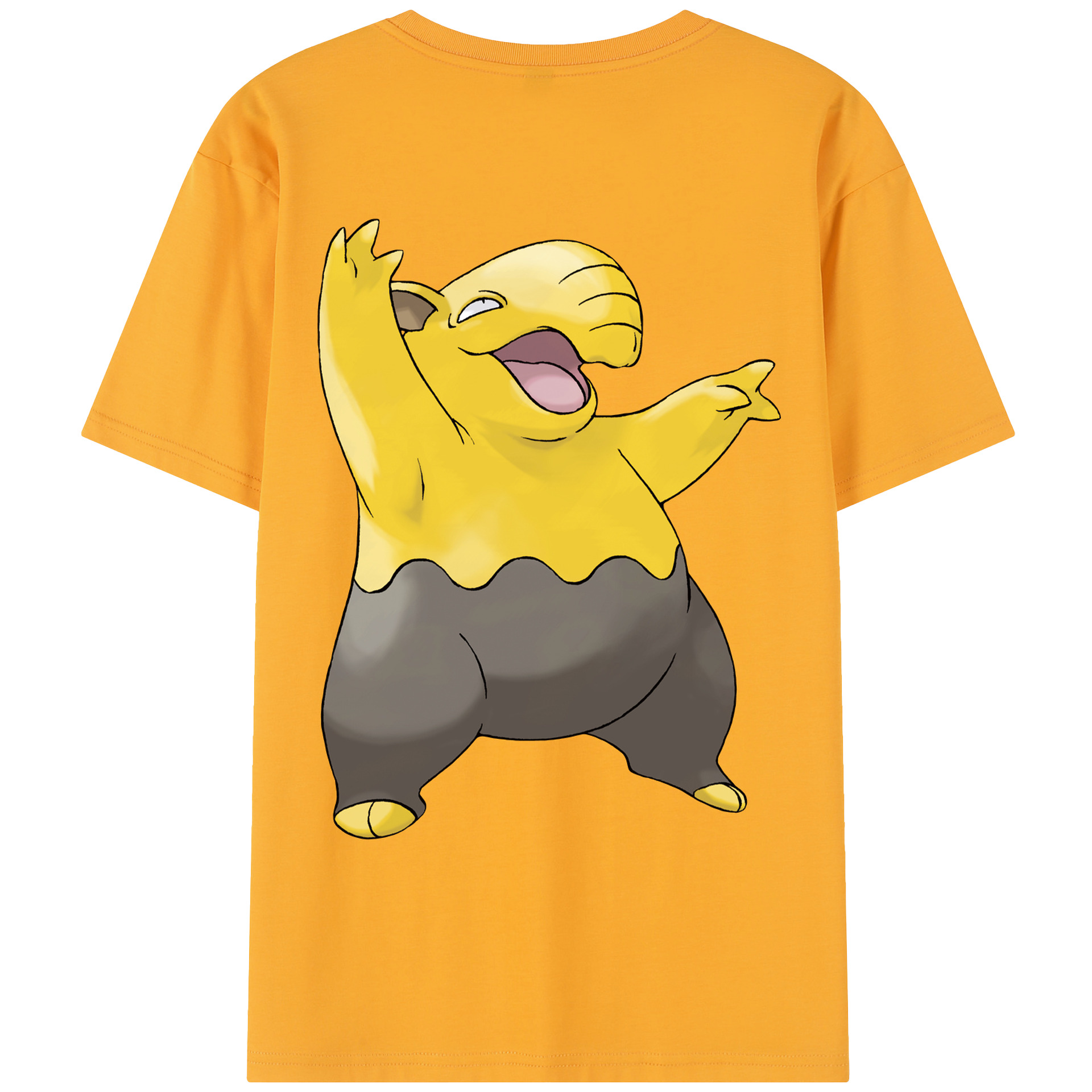 （画像用） ポケットモンスター Pokémon レディース半袖Tシャツ(バックプリント)