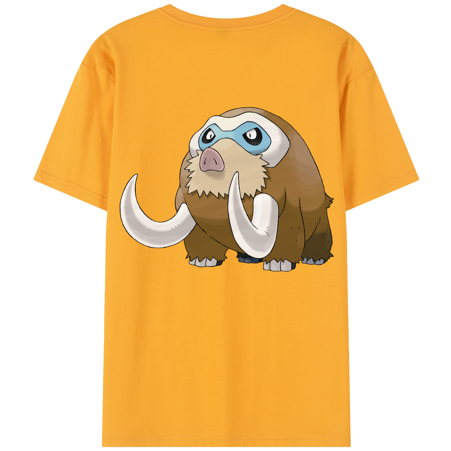 （画像用） ポケットモンスター Pokémon レディース半袖Tシャツ(バックプリント)