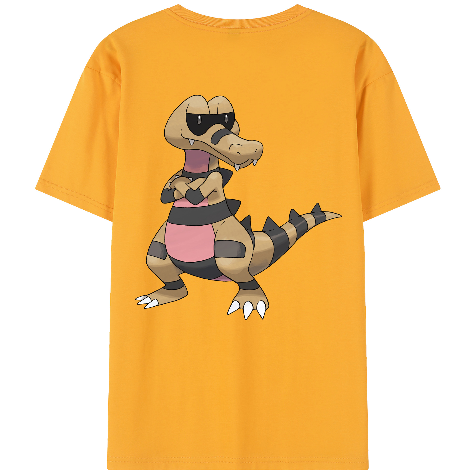 （画像用） ポケットモンスター Pokémon レディース半袖Tシャツ(バックプリント)