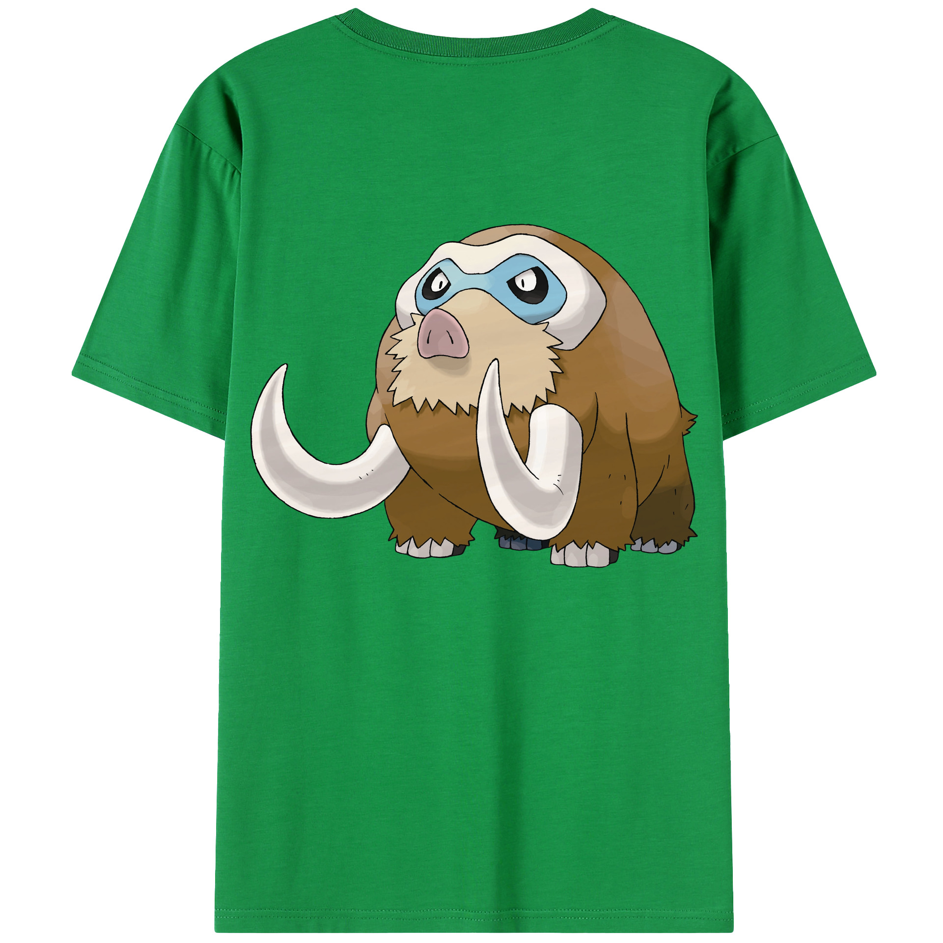 （画像用） ポケットモンスター Pokémon レディース半袖Tシャツ(バックプリント)