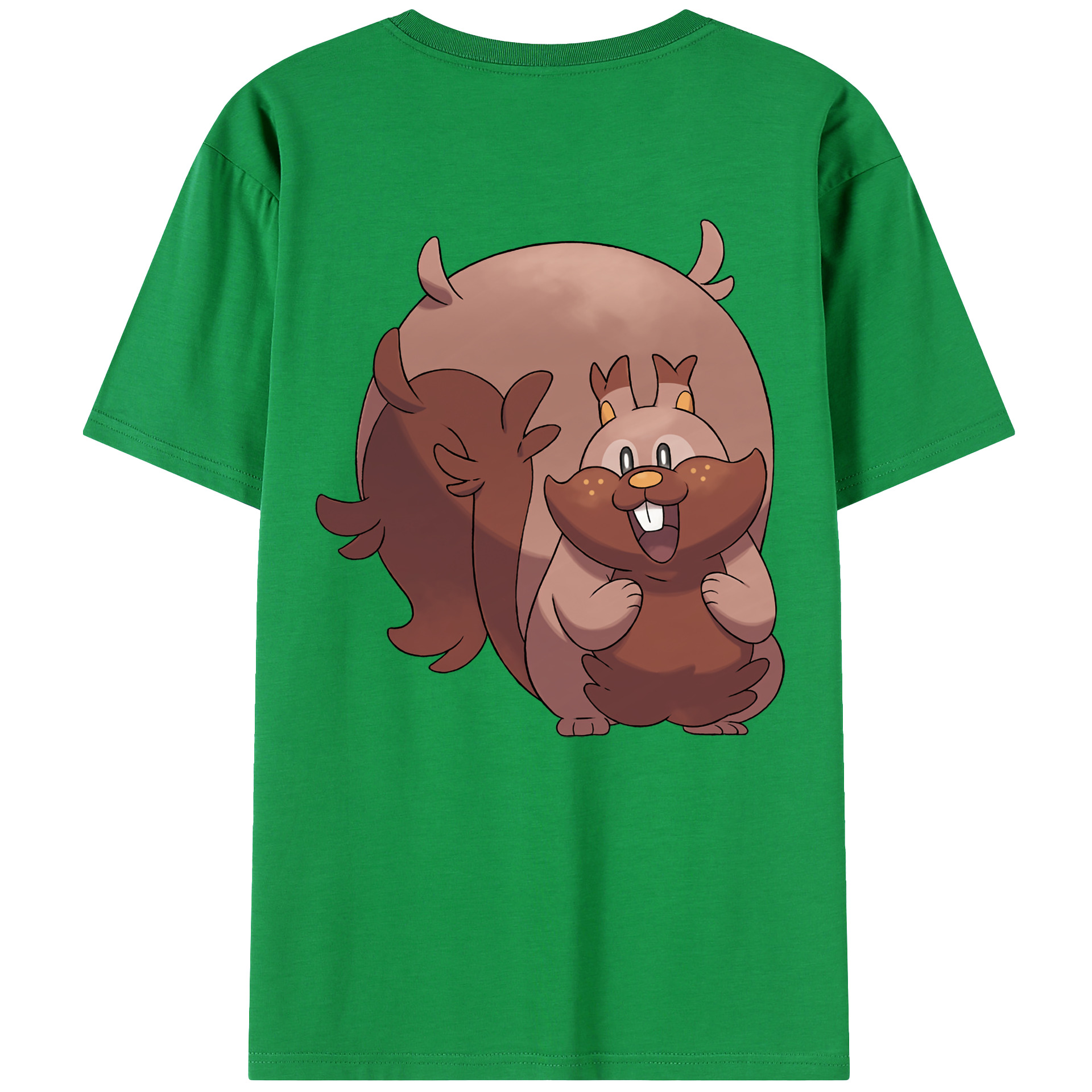 （画像用） ポケットモンスター Pokémon レディース半袖Tシャツ(バックプリント)
