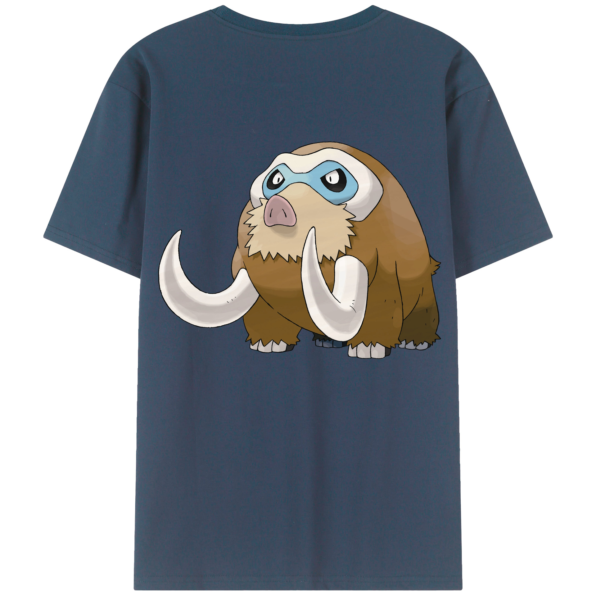 （画像用） ポケットモンスター Pokémon レディース半袖Tシャツ(バックプリント)
