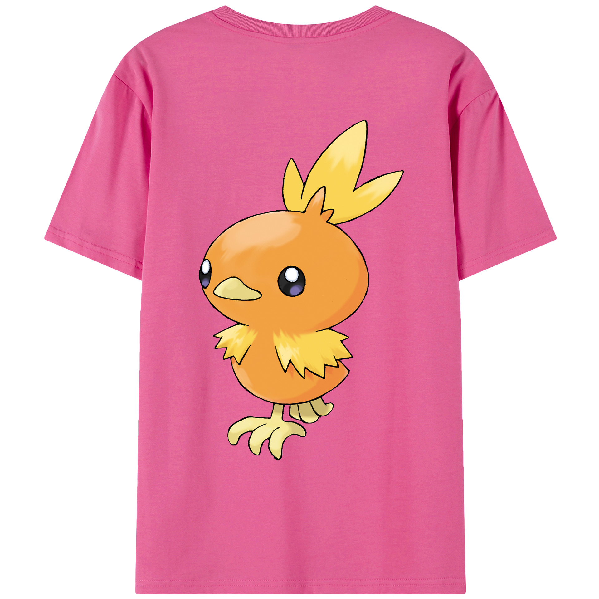 （画像用） ポケットモンスター Pokémon レディース半袖Tシャツ(バックプリント)