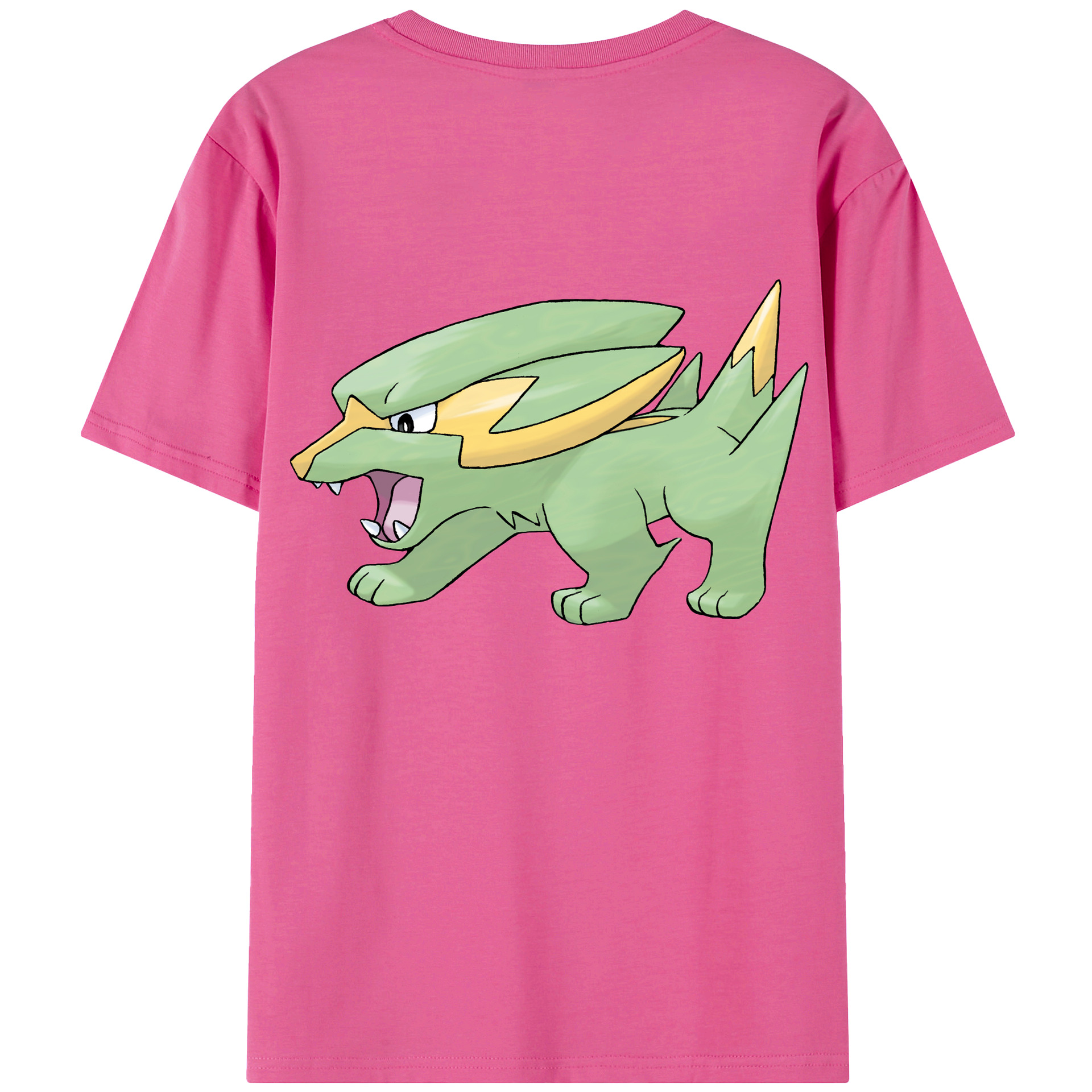 （画像用） ポケットモンスター Pokémon レディース半袖Tシャツ(バックプリント)