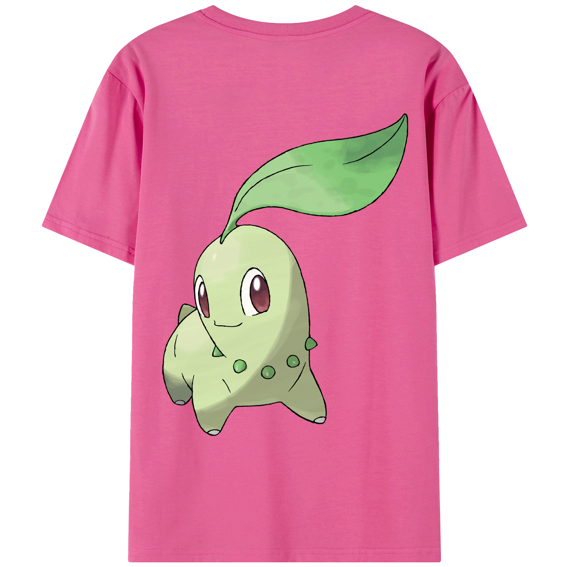 （画像用） ポケットモンスター Pokémon レディース半袖Tシャツ(バックプリント)