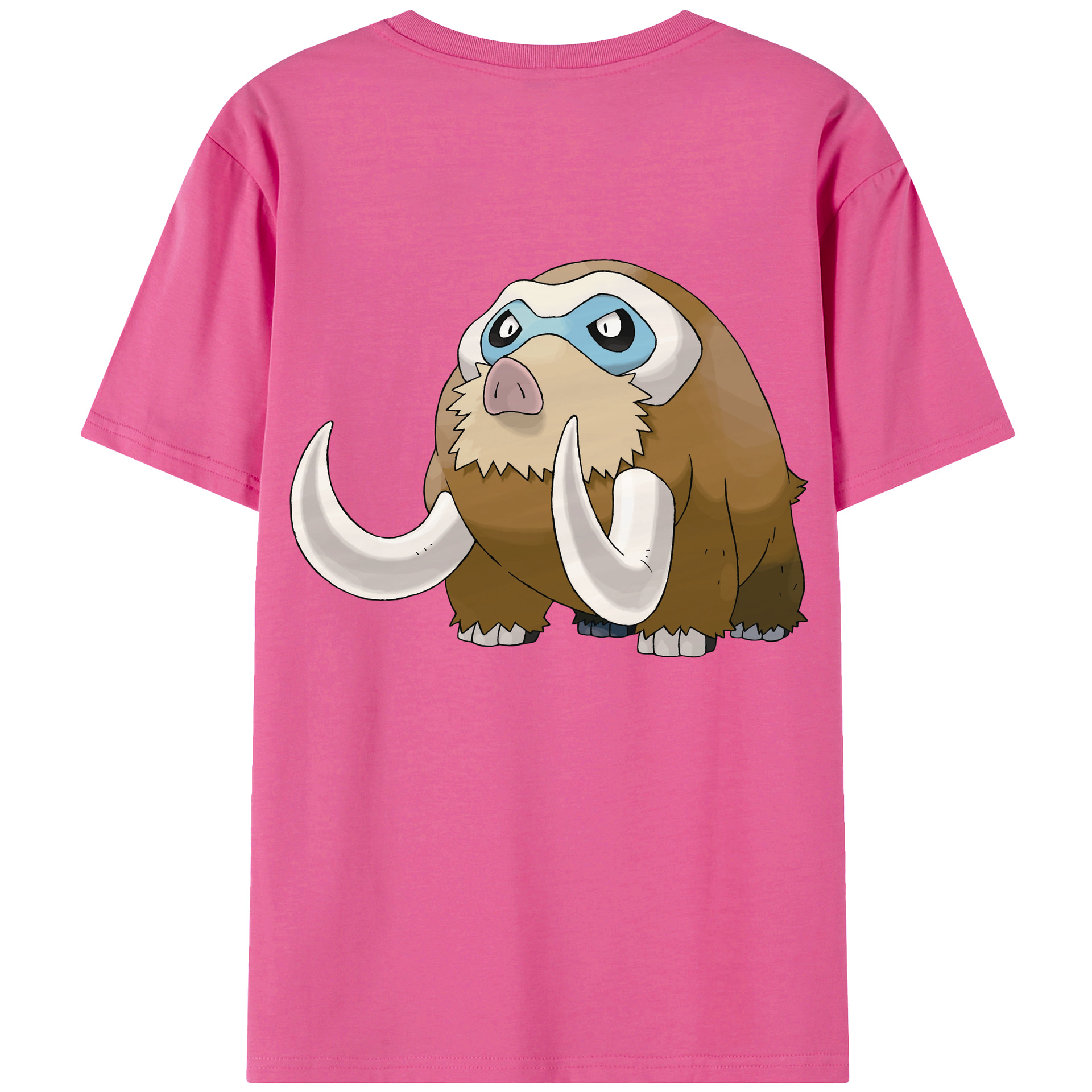 （画像用） ポケットモンスター Pokémon レディース半袖Tシャツ(バックプリント)
