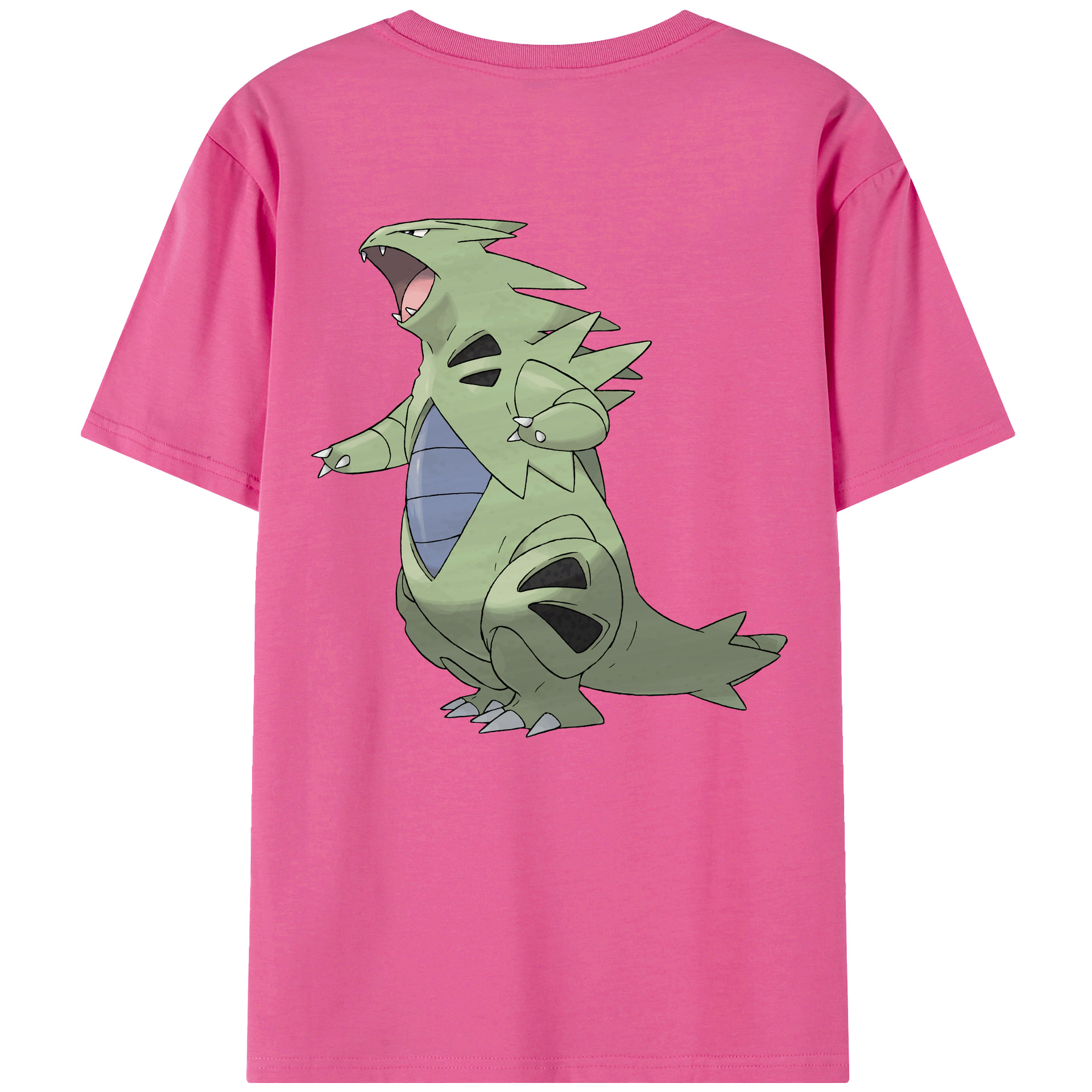 （画像用） ポケットモンスター Pokémon レディース半袖Tシャツ(バックプリント)