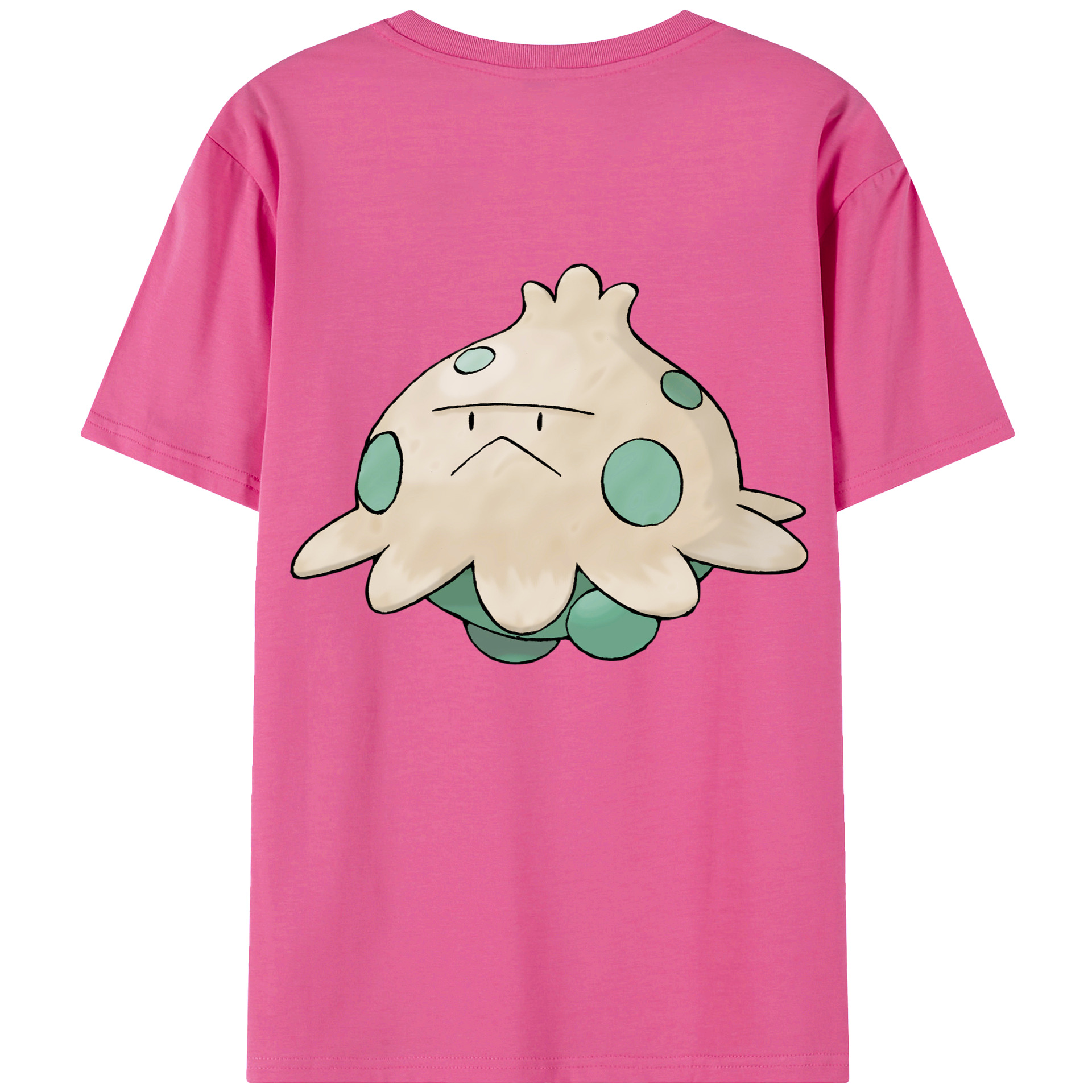 （画像用） ポケットモンスター Pokémon レディース半袖Tシャツ(バックプリント)