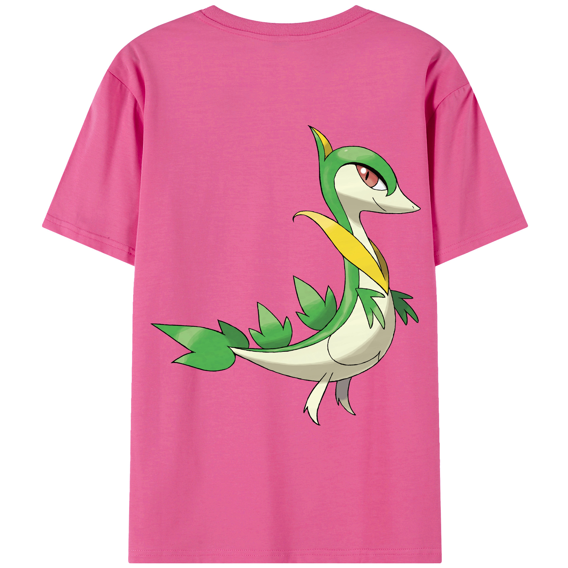 （画像用） ポケットモンスター Pokémon レディース半袖Tシャツ(バックプリント)