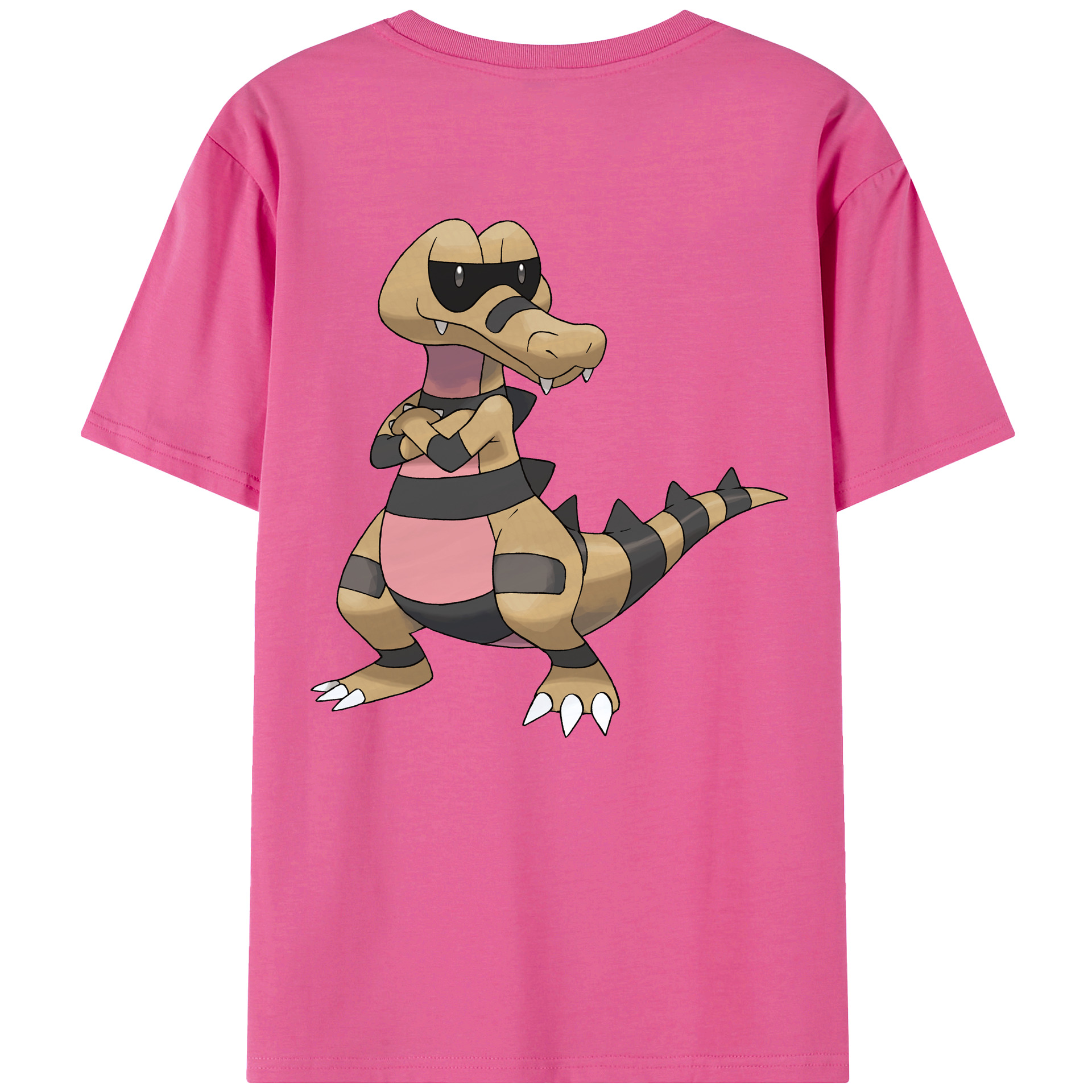（画像用） ポケットモンスター Pokémon レディース半袖Tシャツ(バックプリント)