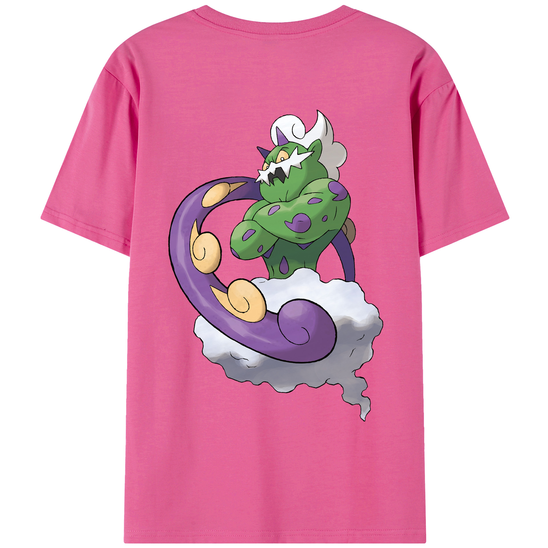 （画像用） ポケットモンスター Pokémon レディース半袖Tシャツ(バックプリント)