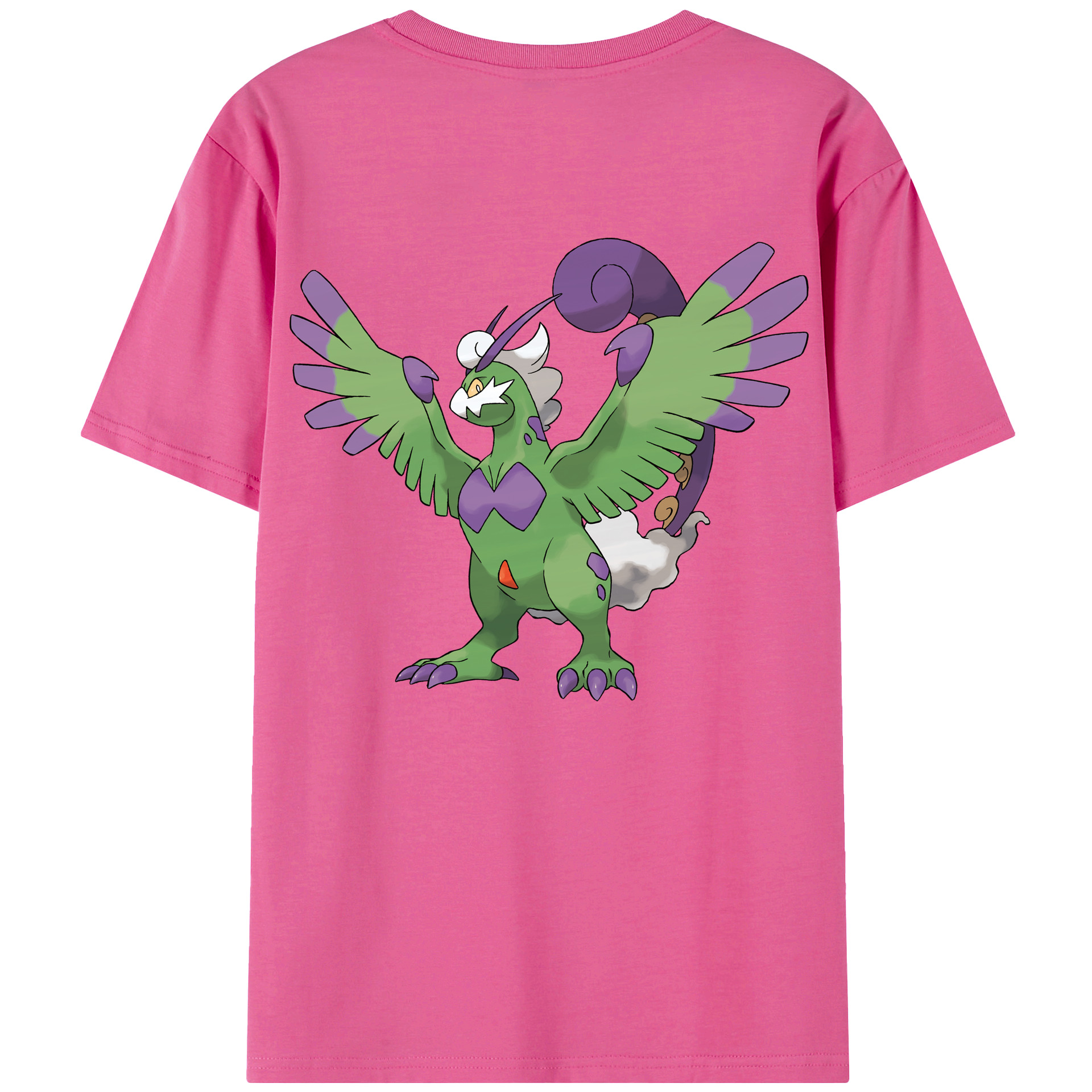 （画像用） ポケットモンスター Pokémon レディース半袖Tシャツ(バックプリント)