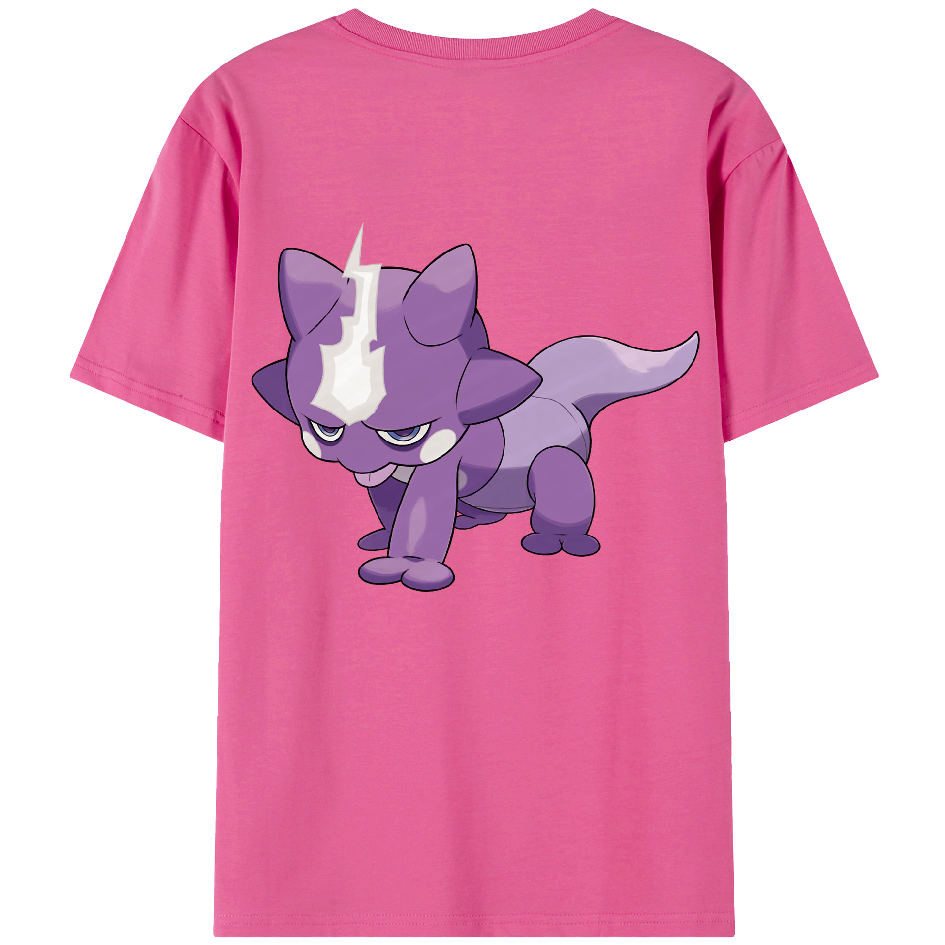 （画像用） ポケットモンスター Pokémon レディース半袖Tシャツ(バックプリント)