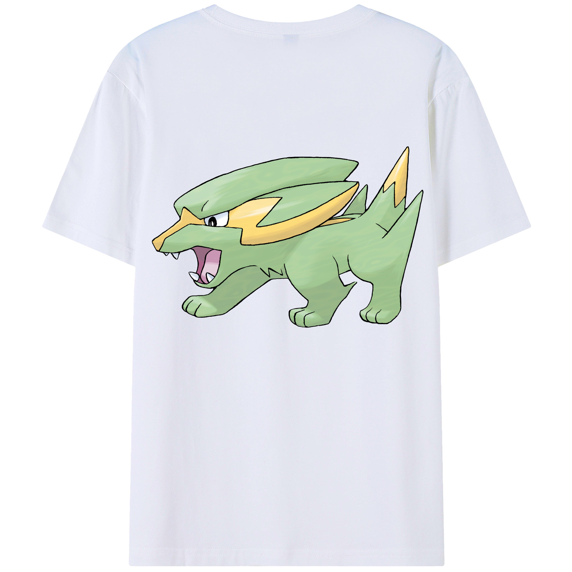 （画像用） ポケットモンスター Pokémon レディース半袖Tシャツ(バックプリント)