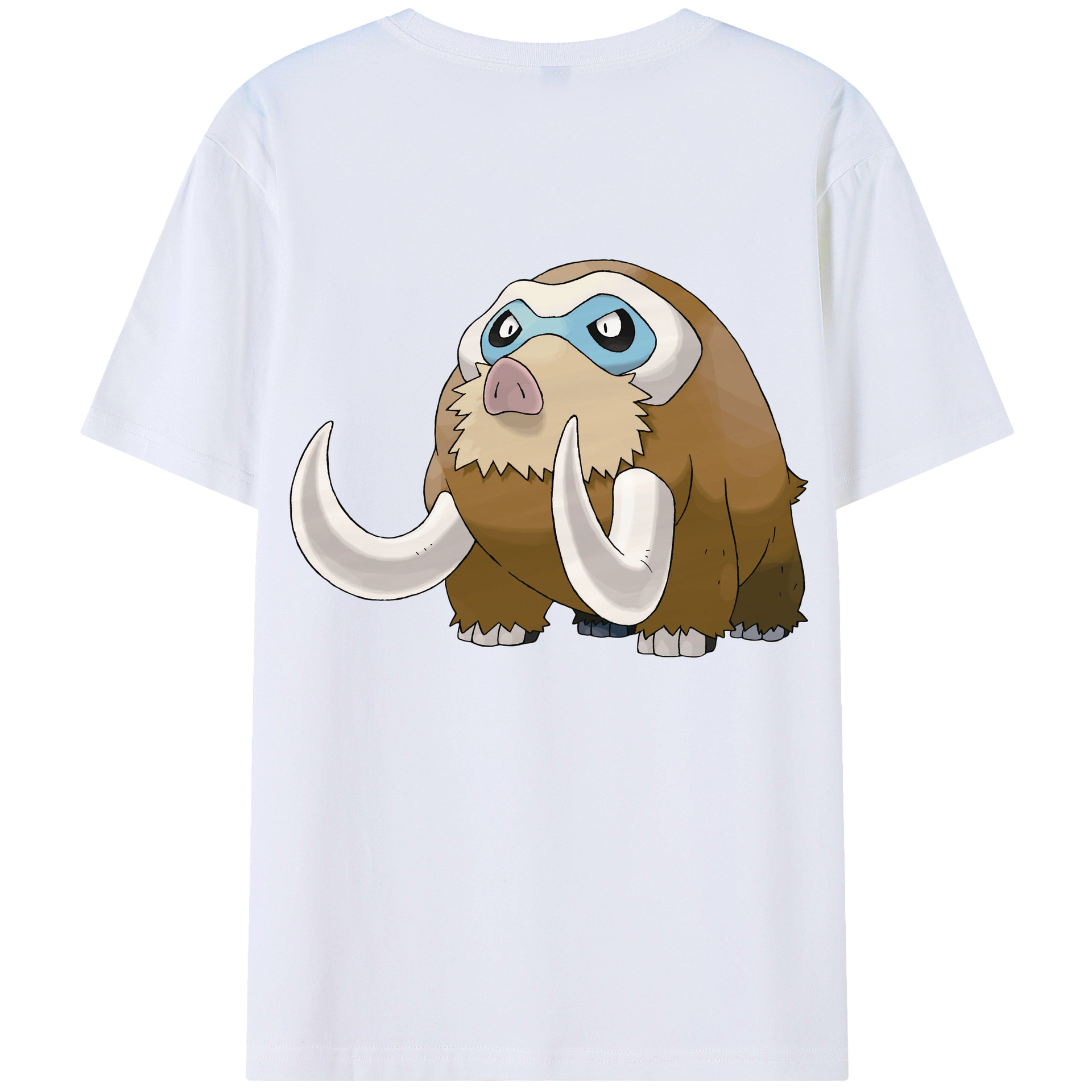 （画像用） ポケットモンスター Pokémon レディース半袖Tシャツ(バックプリント)