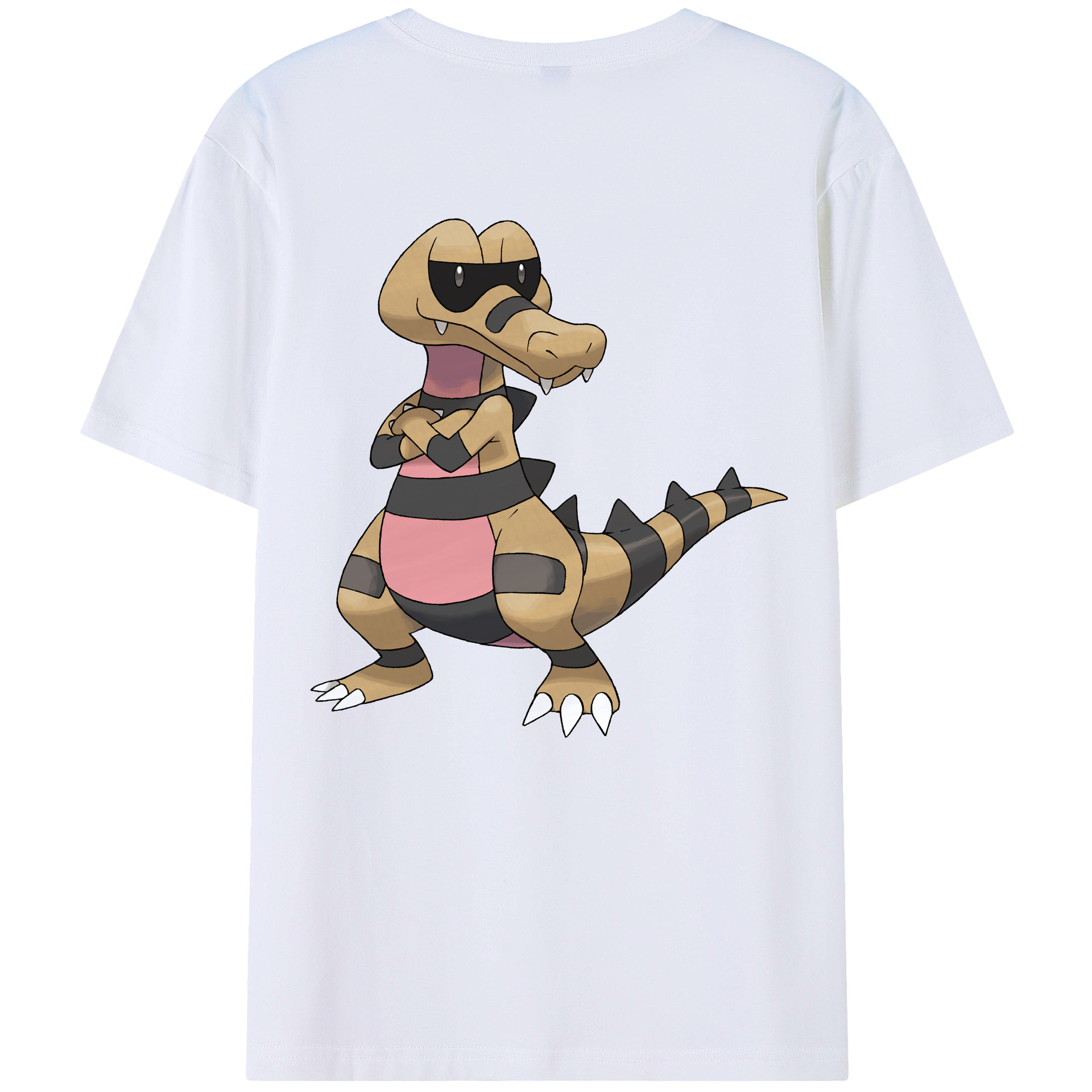 （画像用） ポケットモンスター Pokémon レディース半袖Tシャツ(バックプリント)