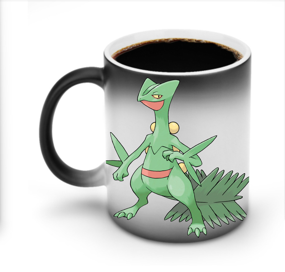 （画像用） ポケットモンスター Pokémon 温度変色マグカップ