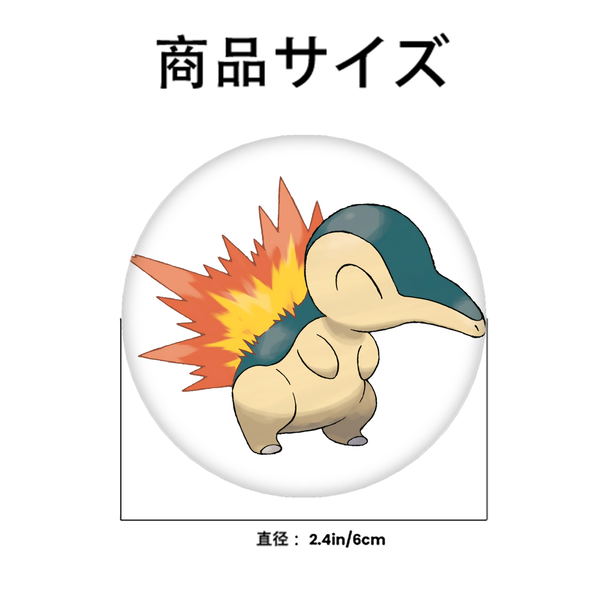 ポケットモンスター Pokémon 6cm 缶バッジ 複数セット