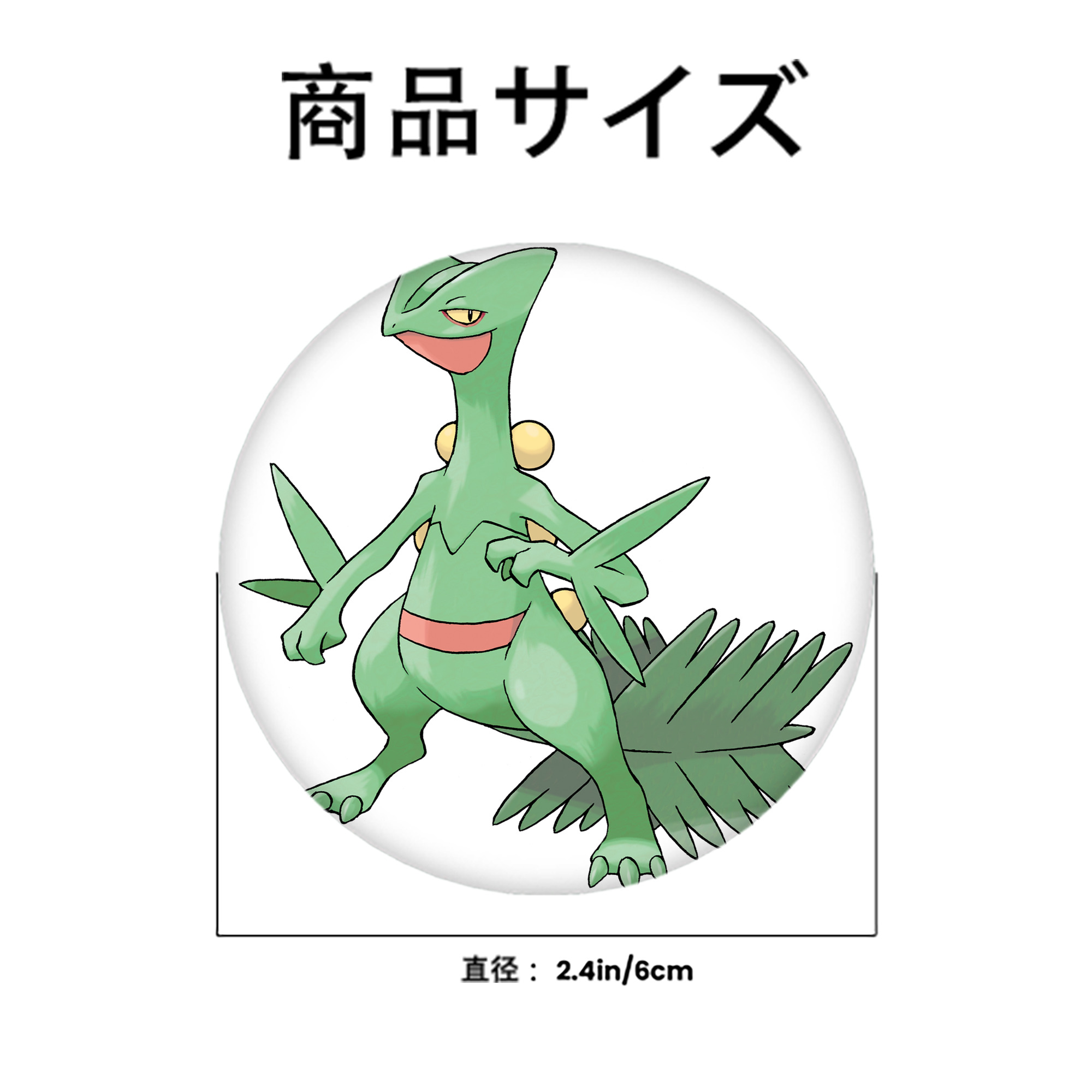 ポケットモンスター Pokémon 6cm 缶バッジ 複数セット