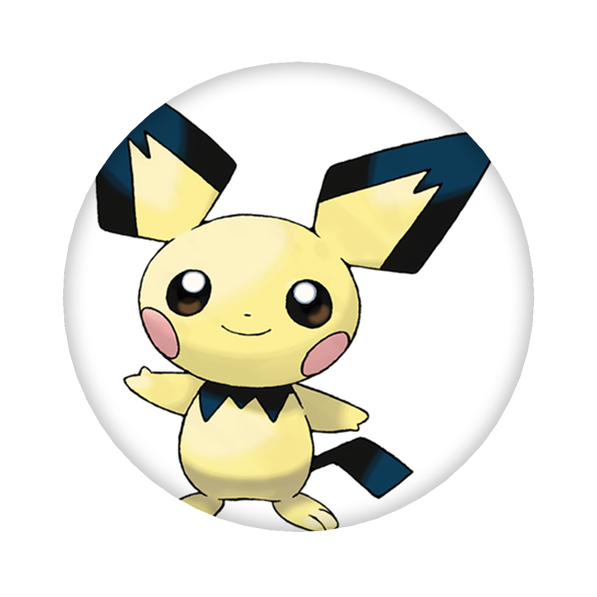 （画像用） ポケットモンスター Pokémon 6cm 缶バッジ 複数セット