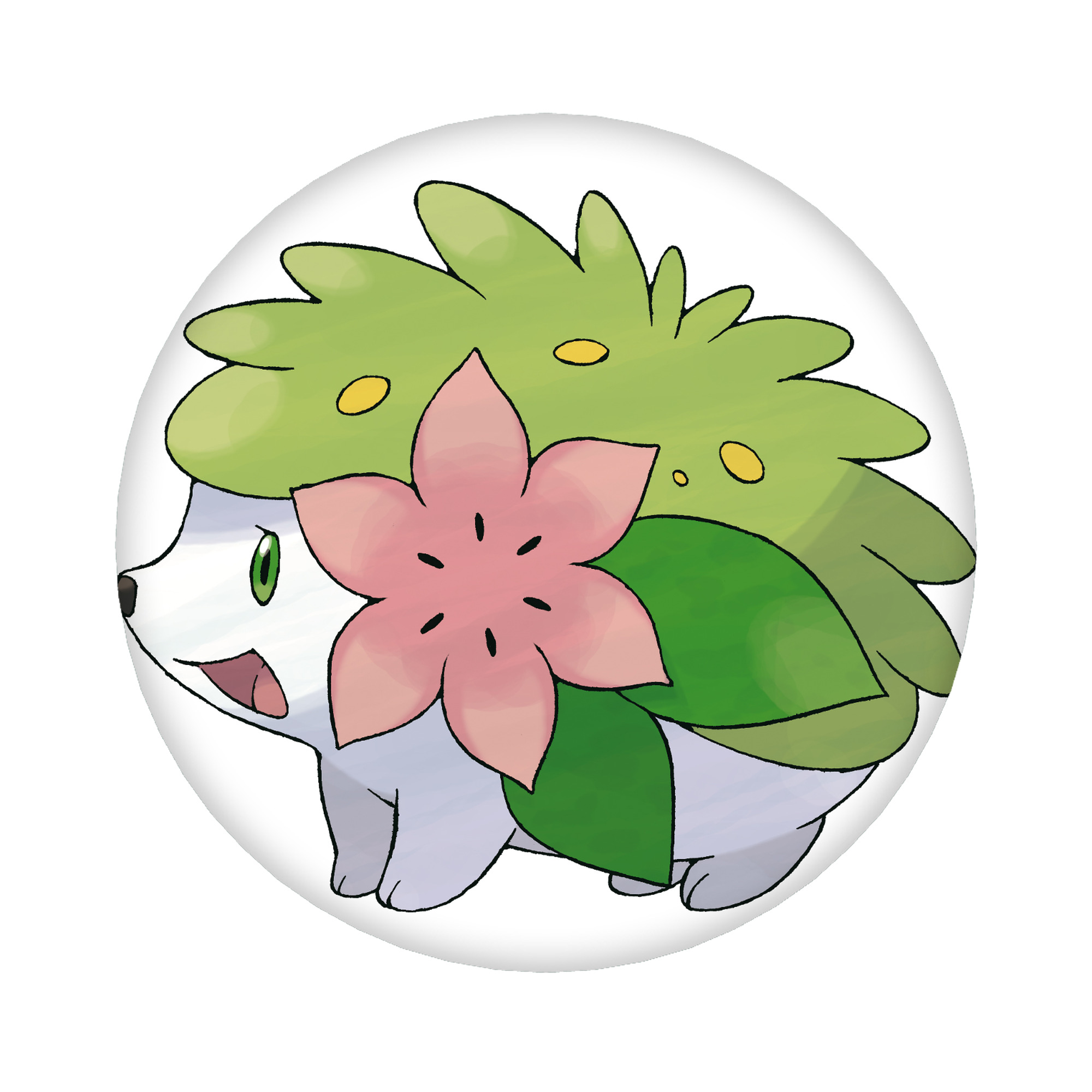 （画像用） ポケットモンスター Pokémon 6cm 缶バッジ 複数セット