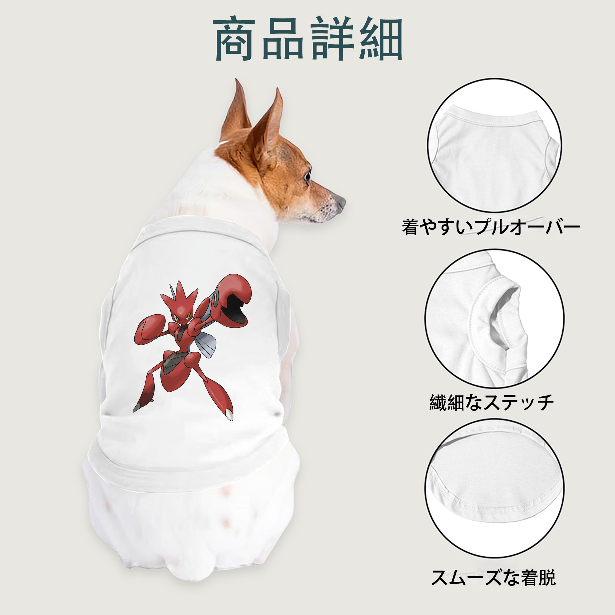 一般的なイメージ