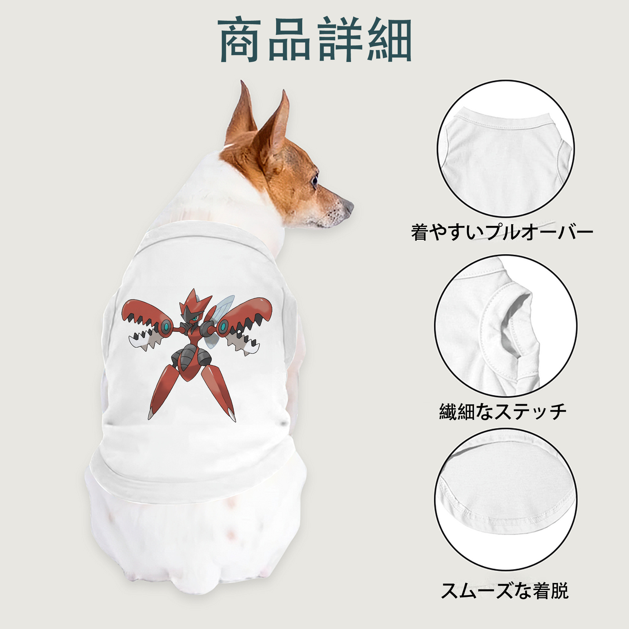 一般的なイメージ
