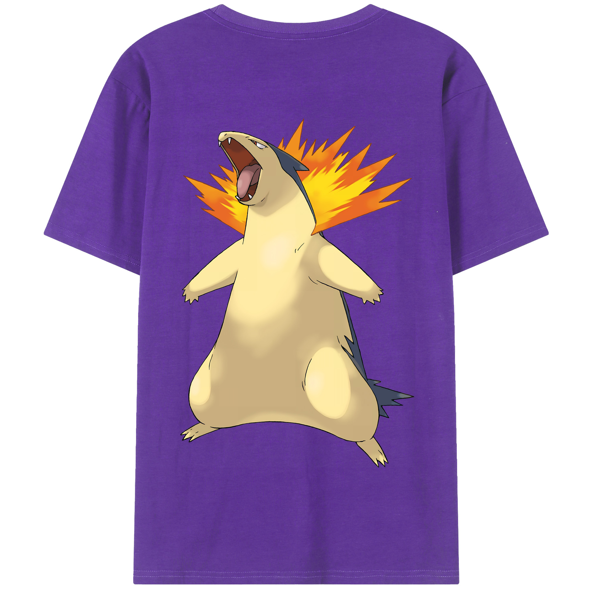 （画像用） ポケットモンスター Pokémon 綿100％半袖Tシャツ（背面プリント）