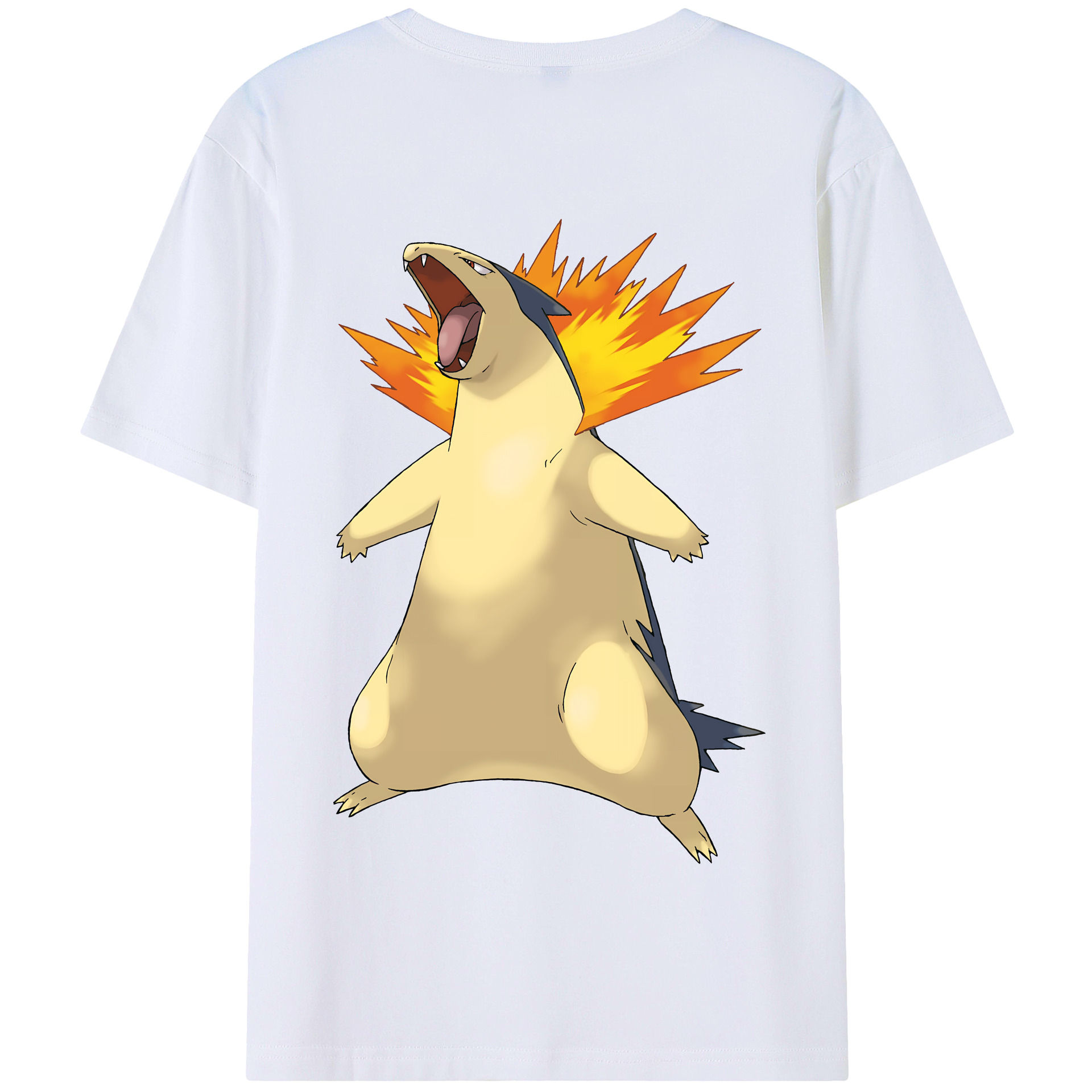 （画像用） ポケットモンスター Pokémon 綿100％半袖Tシャツ（背面プリント）