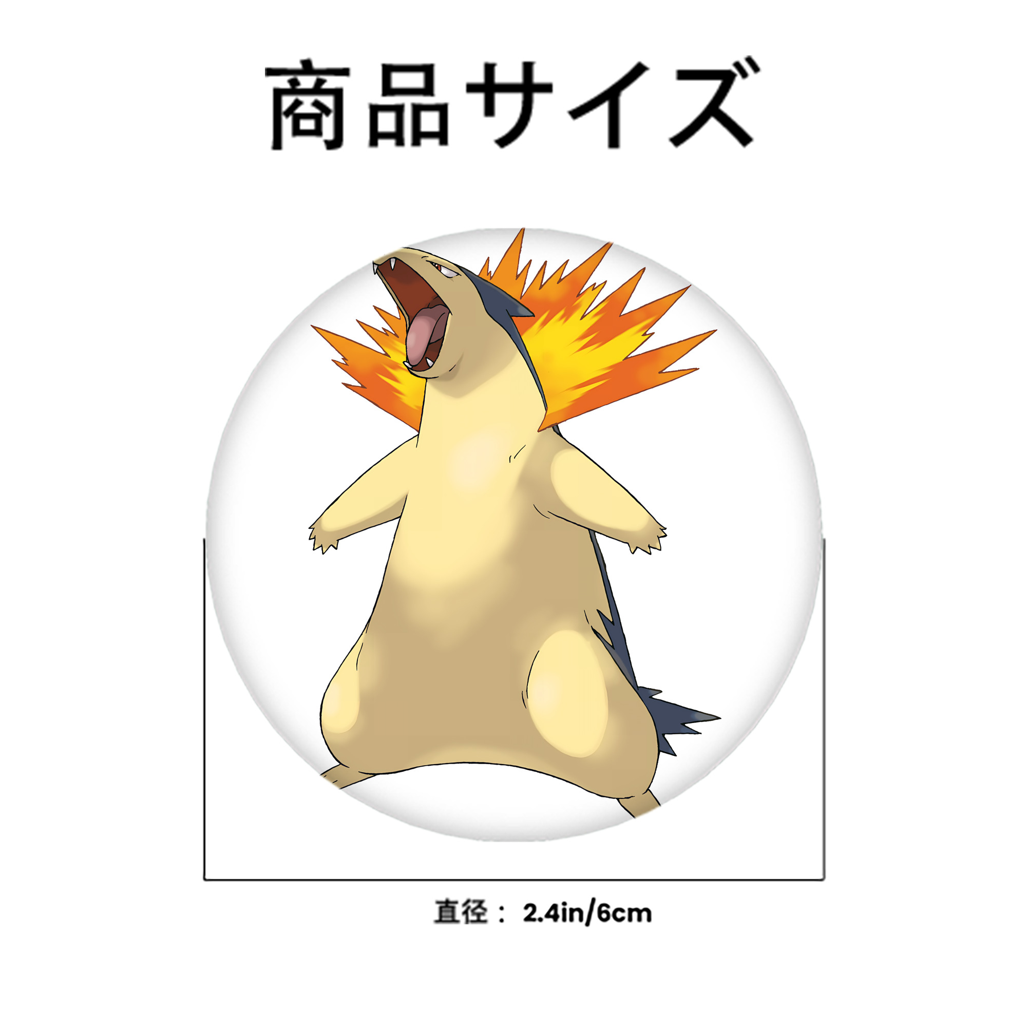 ポケットモンスター Pokémon 6cm 缶バッジ 複数セット