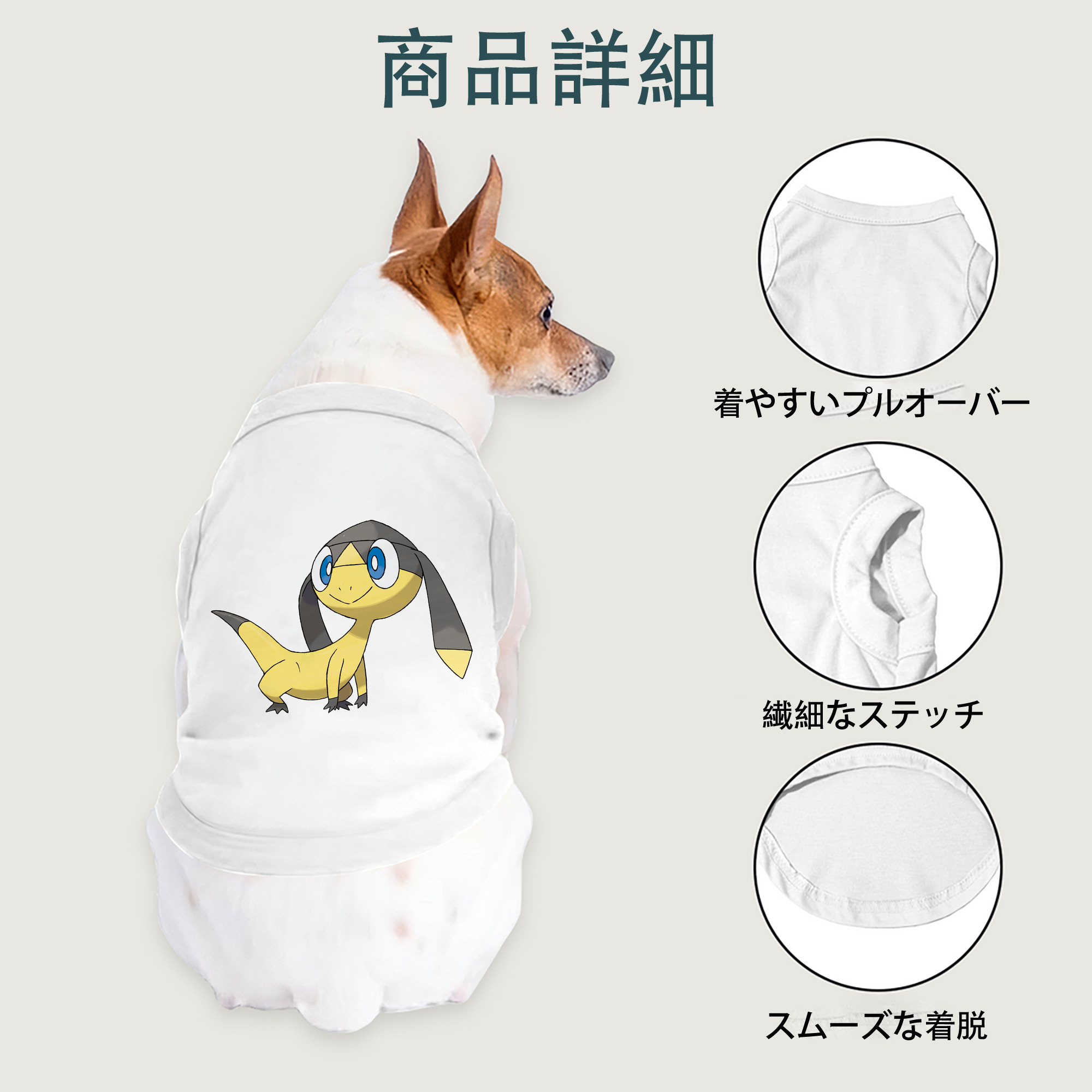 一般的なイメージ